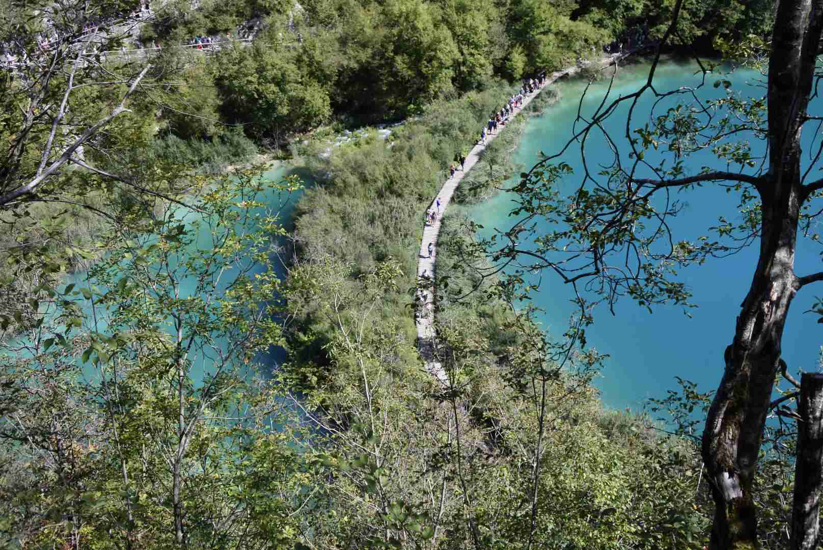 コロナ禍だし、過去に行った旅行の写真でも見せ合いませんか