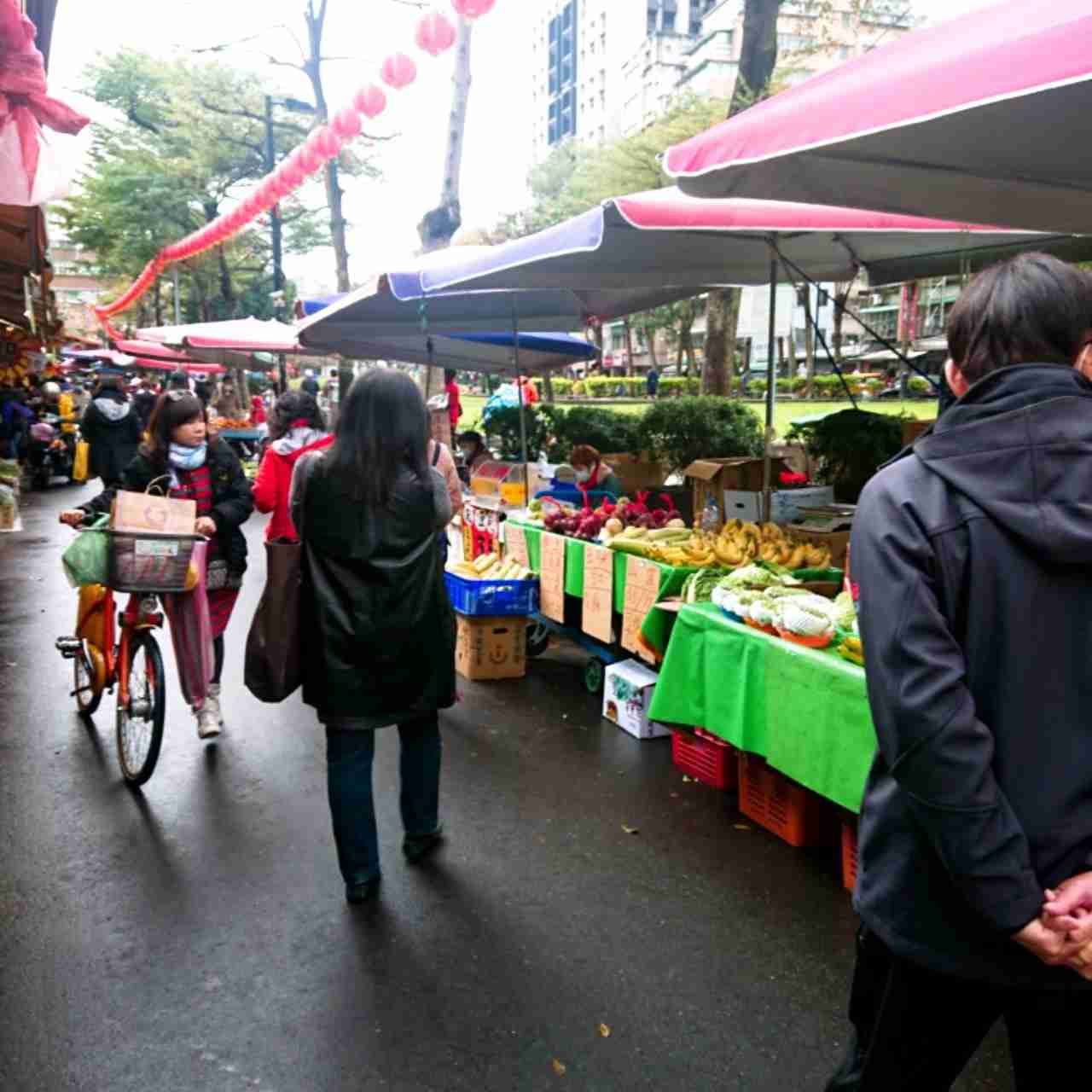 コロナ禍だし、過去に行った旅行の写真でも見せ合いませんか