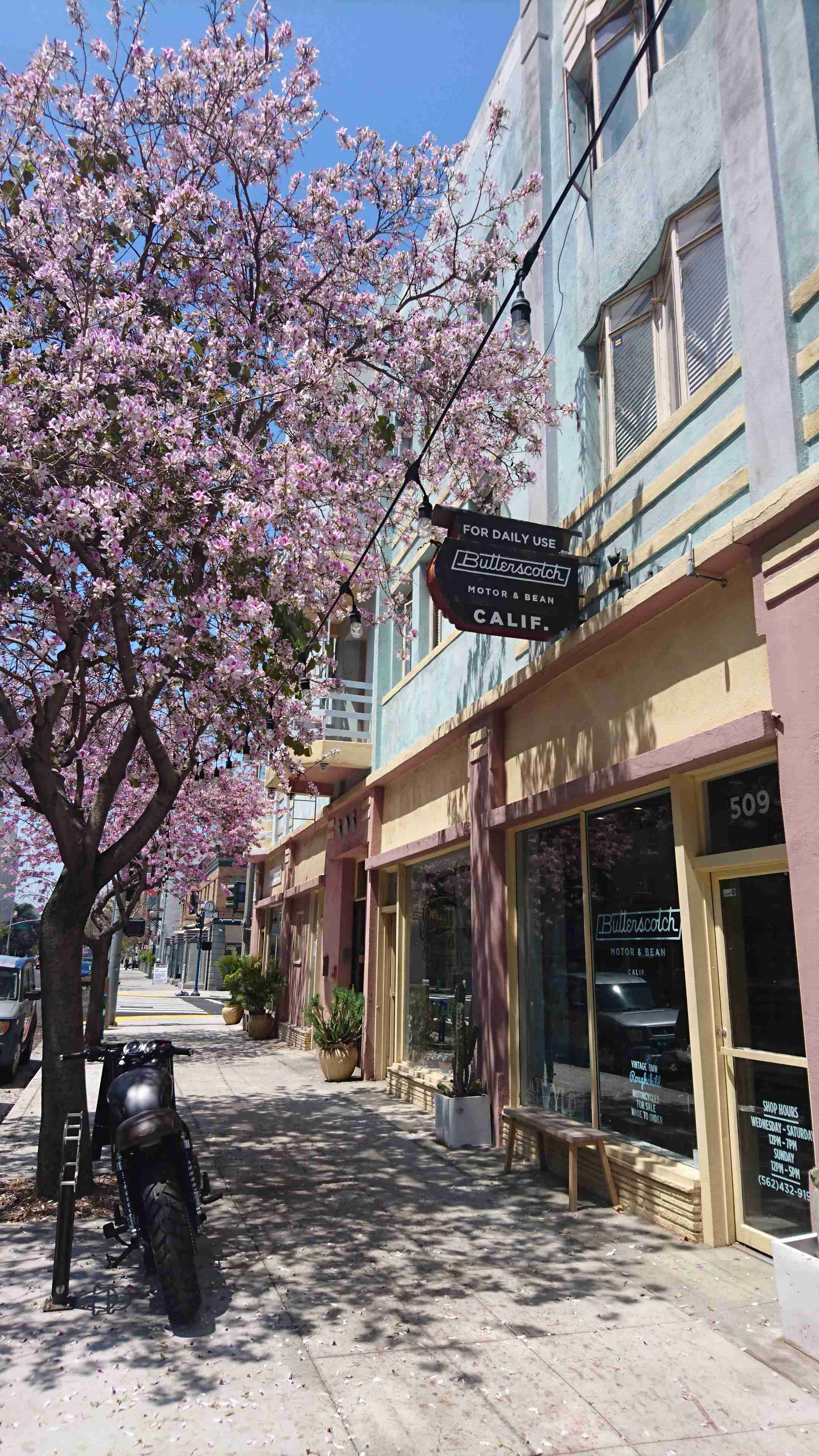 コロナ禍だし、過去に行った旅行の写真でも見せ合いませんか