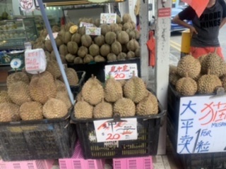 コロナ禍だし、過去に行った旅行の写真でも見せ合いませんか