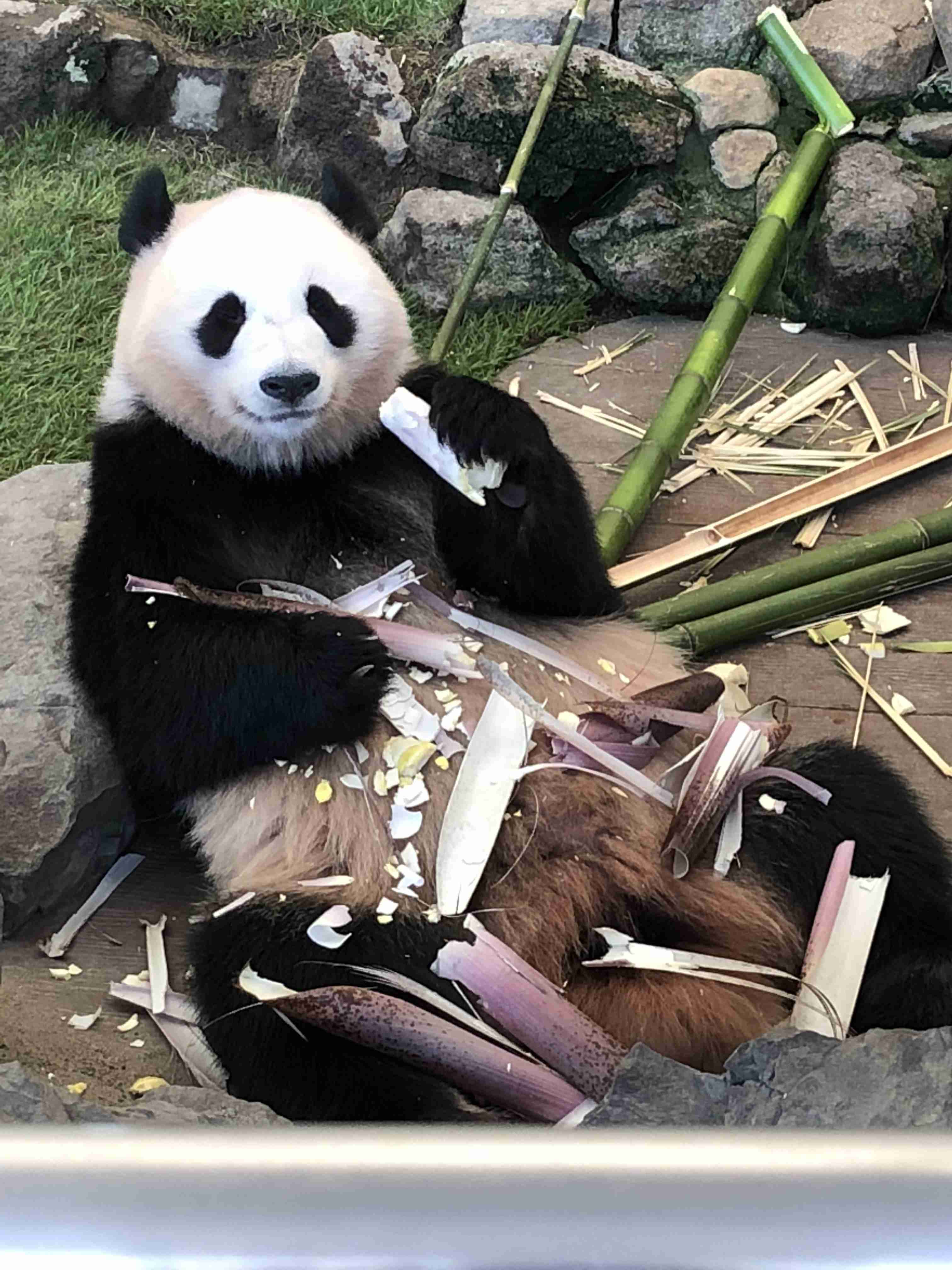 コロナ禍だし、過去に行った旅行の写真でも見せ合いませんか