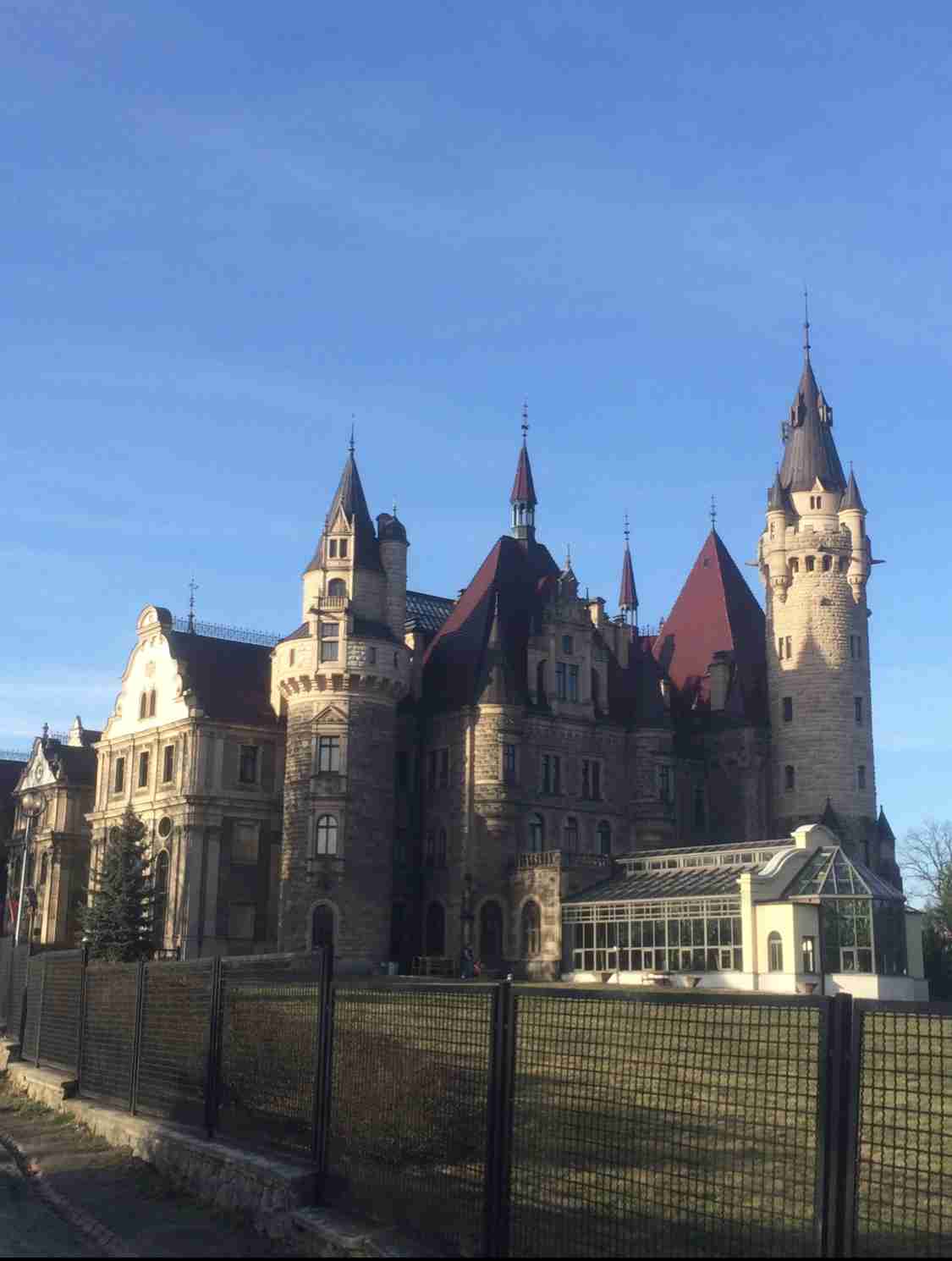 コロナ禍だし、過去に行った旅行の写真でも見せ合いませんか