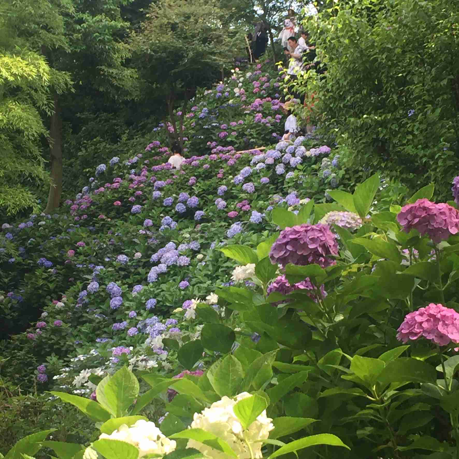 コロナ禍だし、過去に行った旅行の写真でも見せ合いませんか