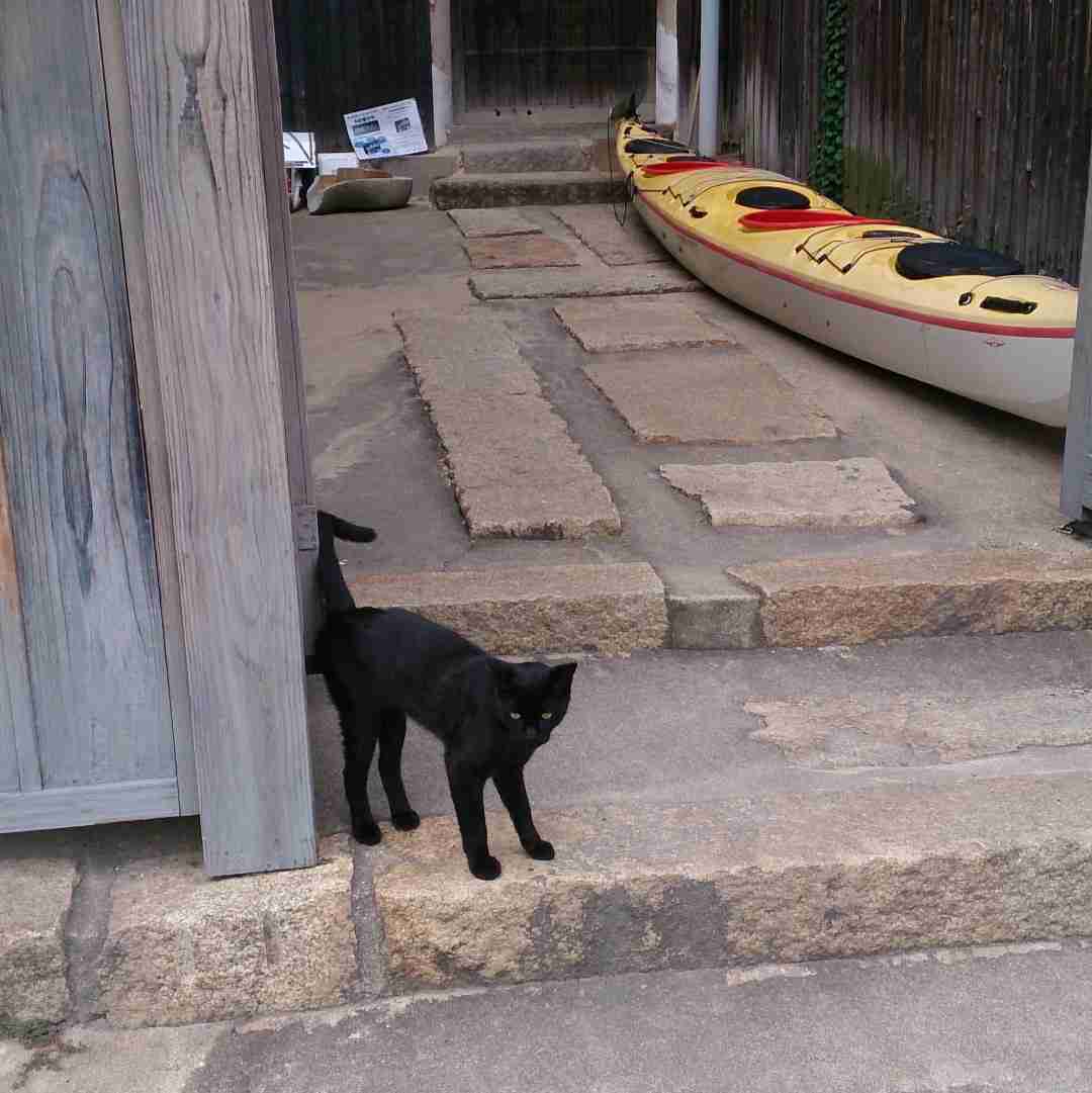 コロナ禍だし、過去に行った旅行の写真でも見せ合いませんか