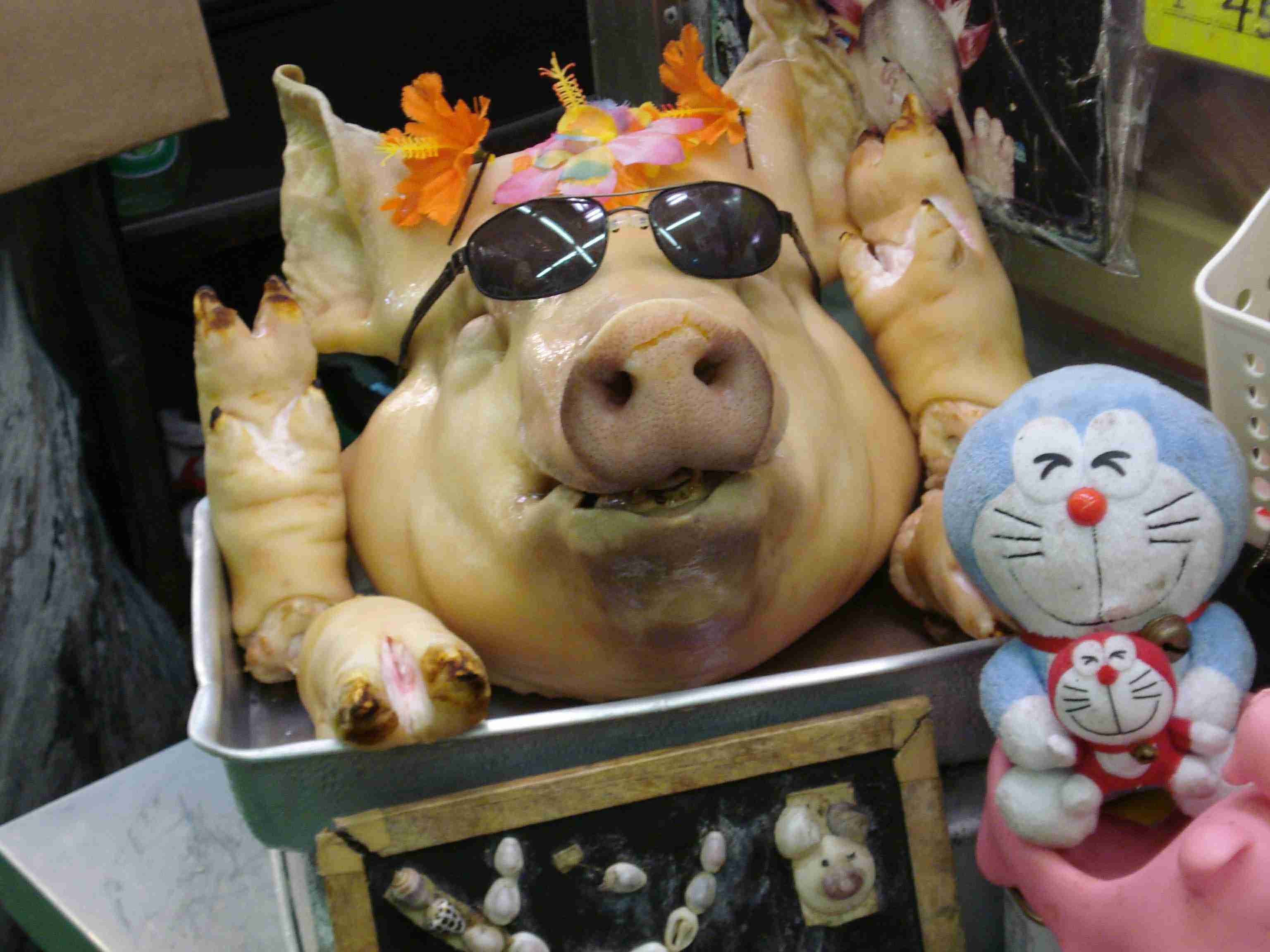 コロナ禍だし、過去に行った旅行の写真でも見せ合いませんか