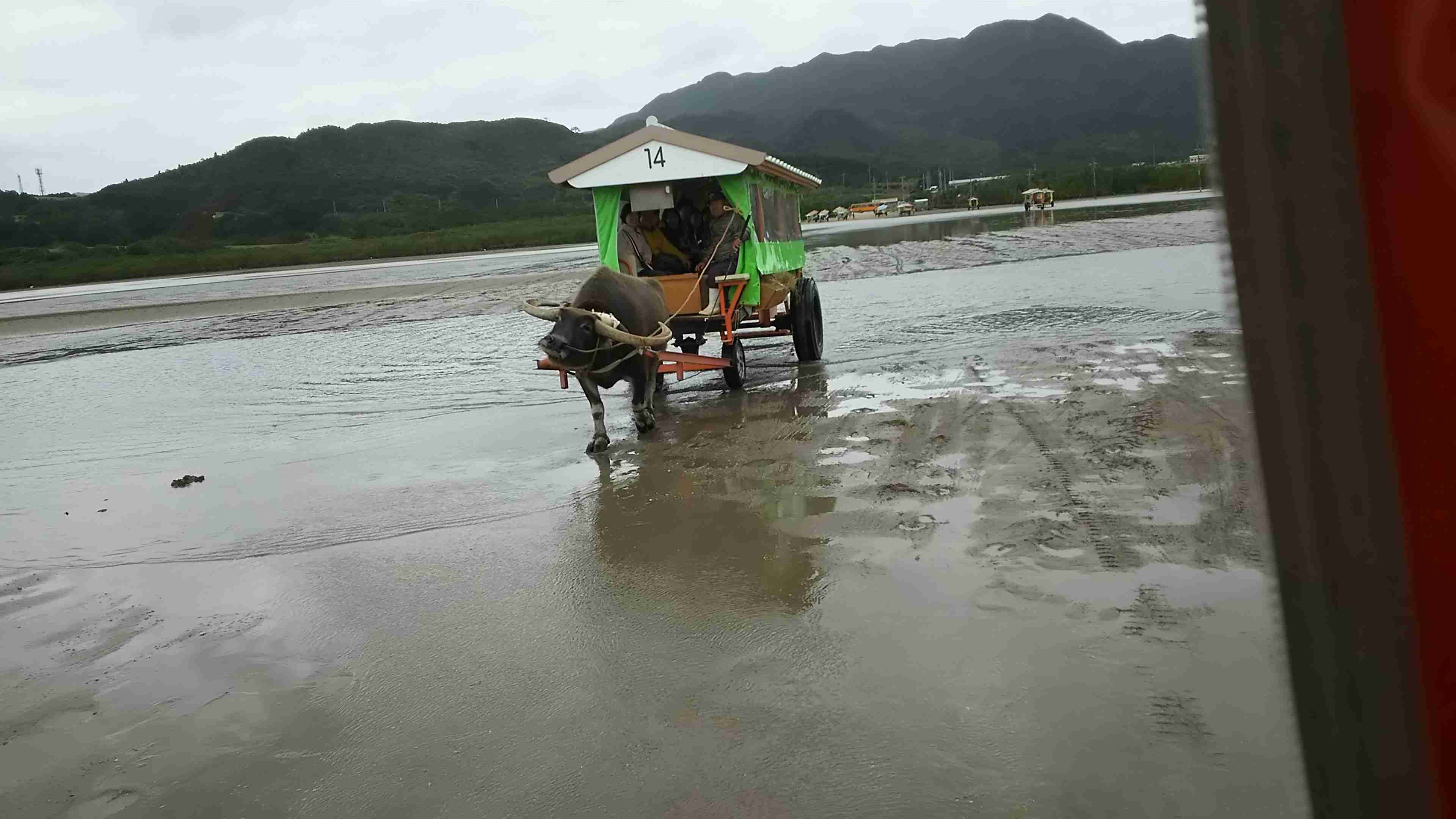コロナ禍だし、過去に行った旅行の写真でも見せ合いませんか