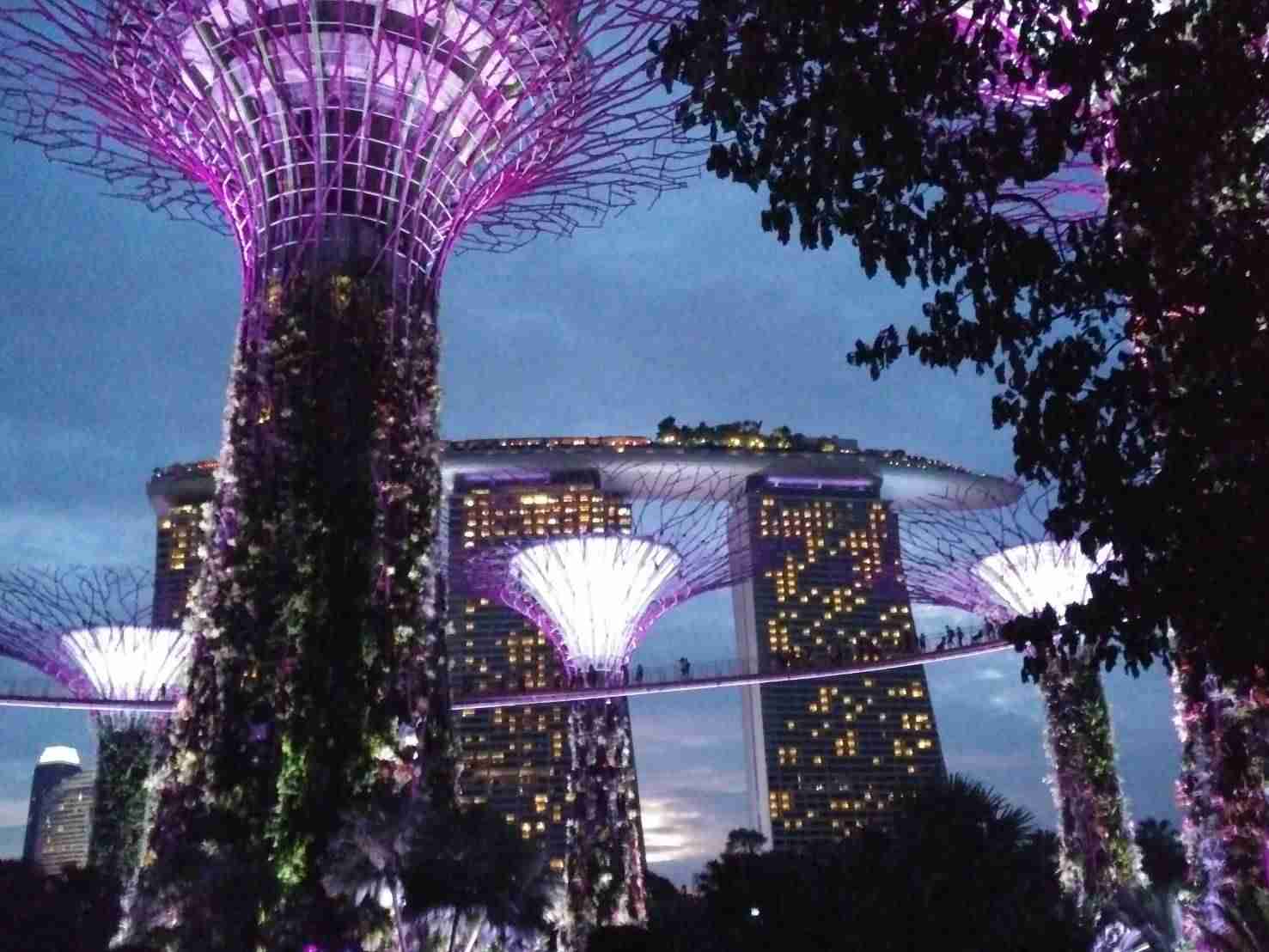 コロナ禍だし、過去に行った旅行の写真でも見せ合いませんか