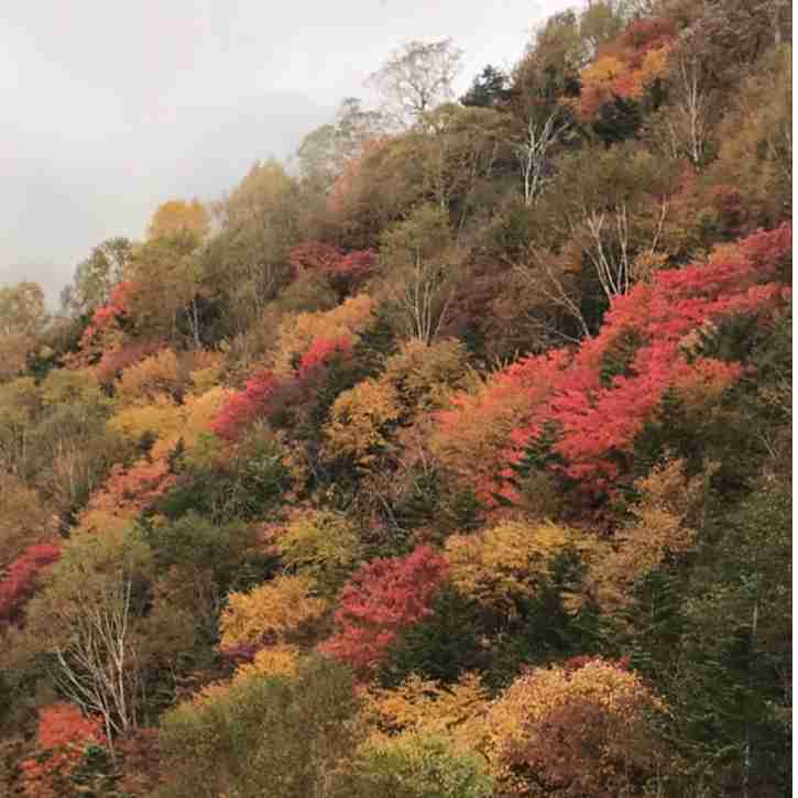 コロナ禍だし、過去に行った旅行の写真でも見せ合いませんか