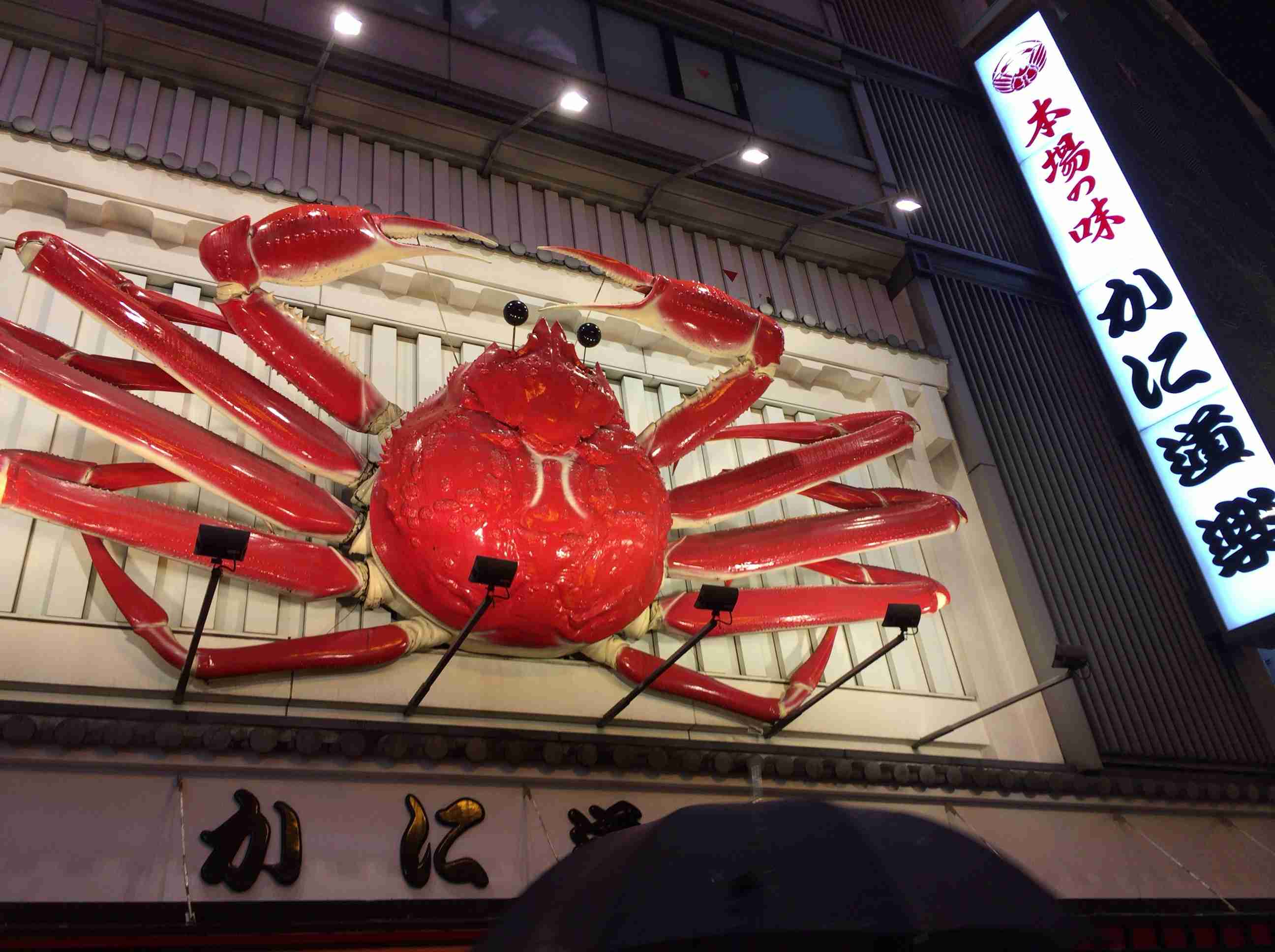 コロナ禍だし、過去に行った旅行の写真でも見せ合いませんか