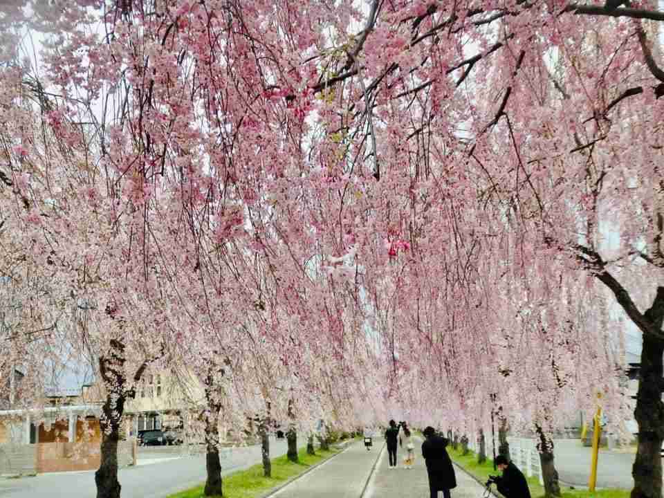 コロナ禍だし、過去に行った旅行の写真でも見せ合いませんか