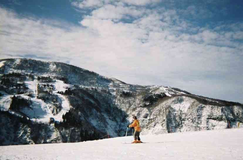 コロナ禍だし、過去に行った旅行の写真でも見せ合いませんか