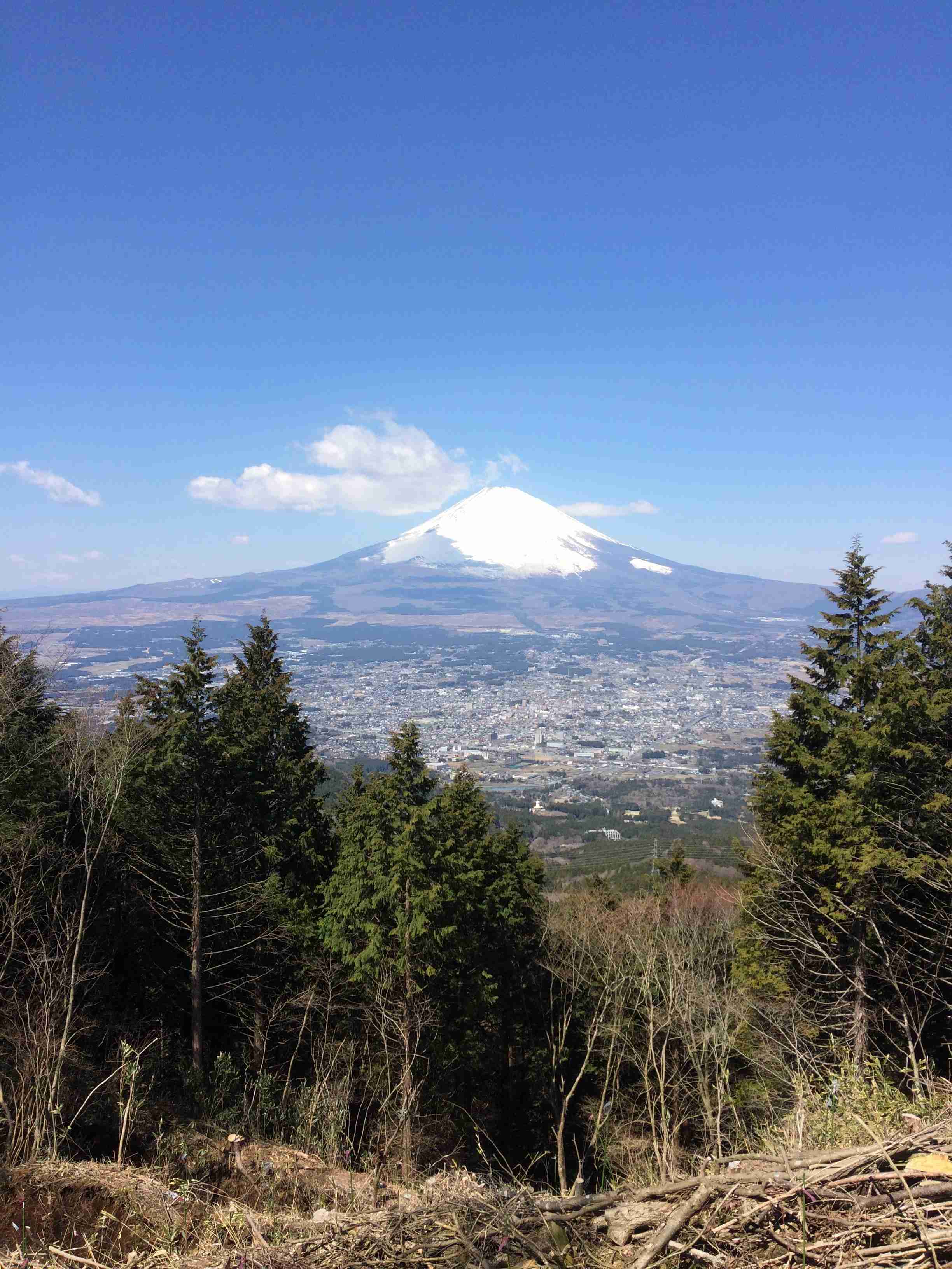 コロナ禍だし、過去に行った旅行の写真でも見せ合いませんか