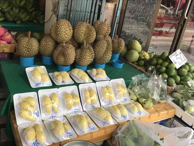 コロナ禍だし、過去に行った旅行の写真でも見せ合いませんか