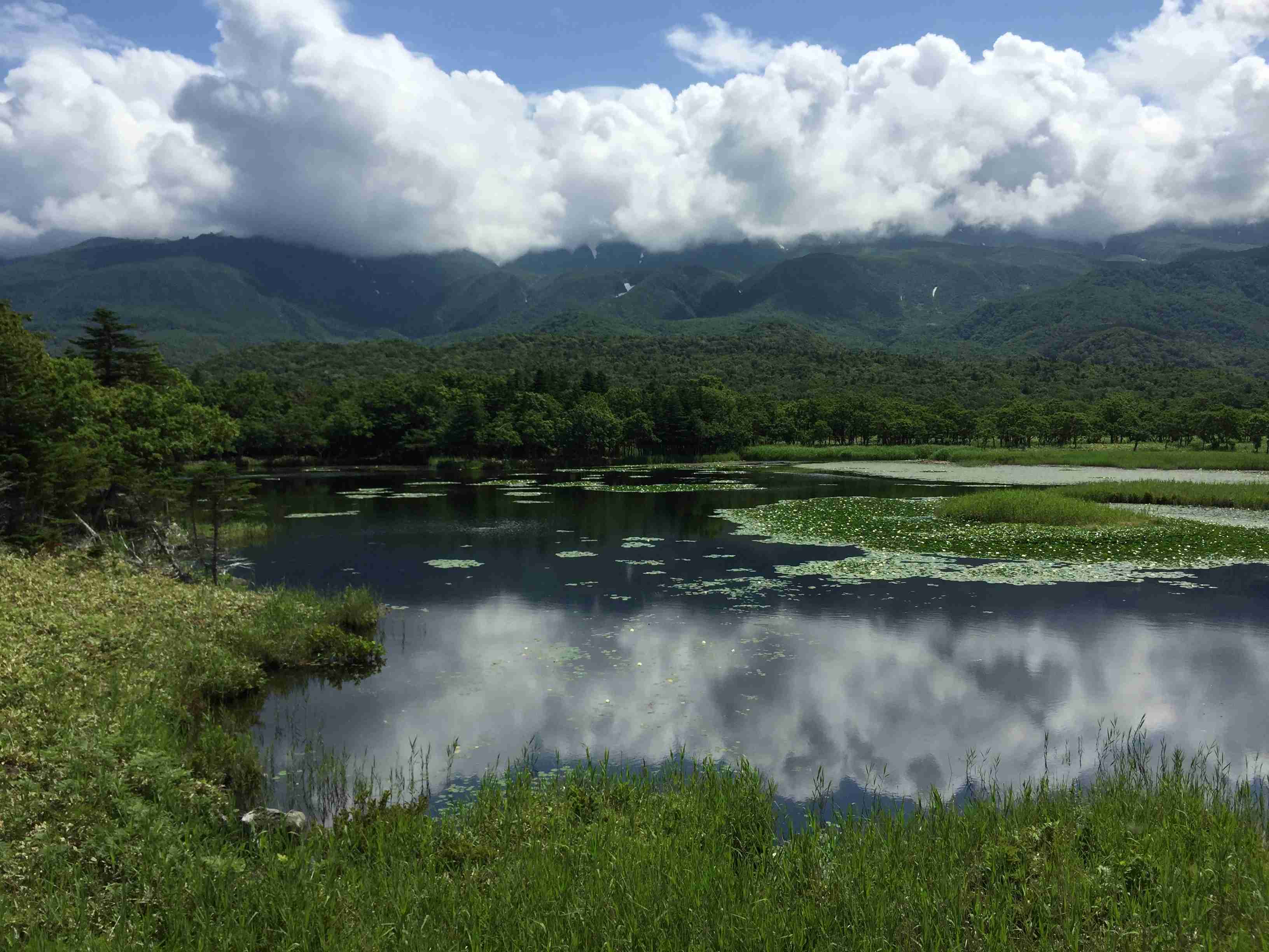 コロナ禍だし、過去に行った旅行の写真でも見せ合いませんか