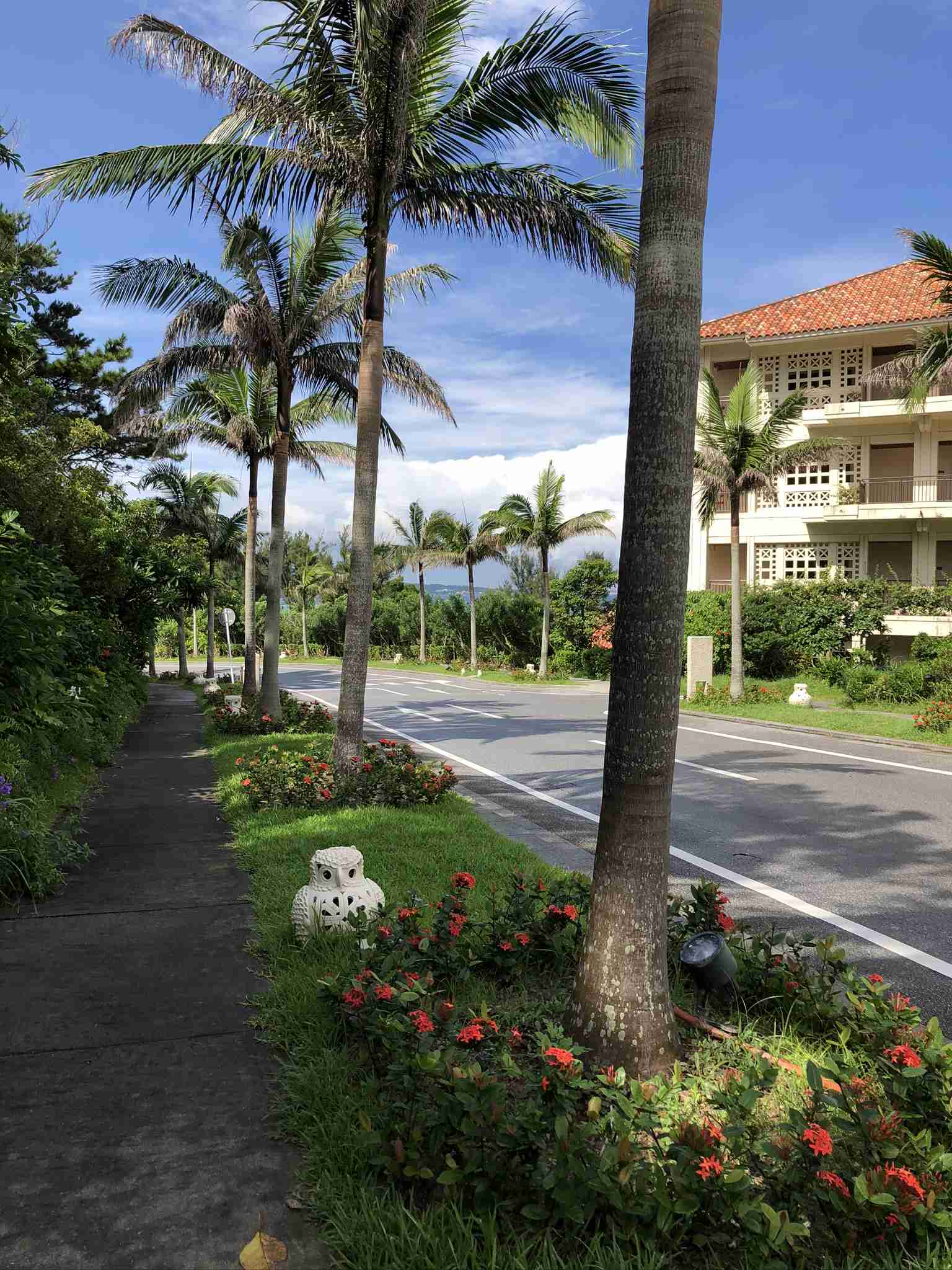 コロナ禍だし、過去に行った旅行の写真でも見せ合いませんか