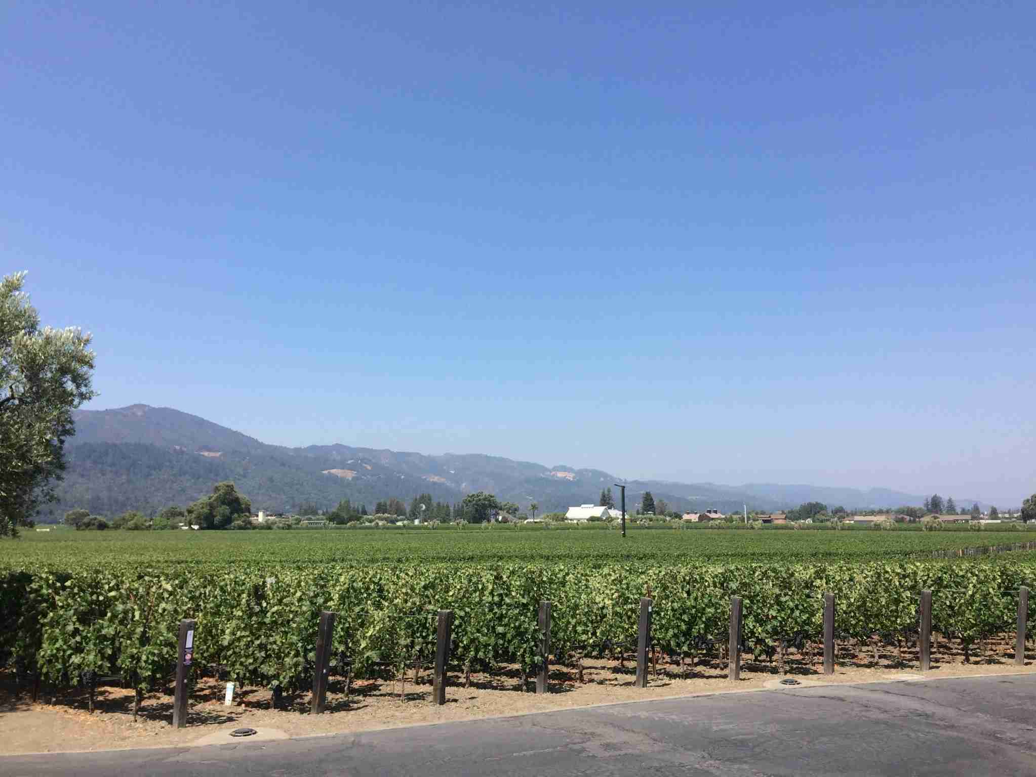 コロナ禍だし、過去に行った旅行の写真でも見せ合いませんか