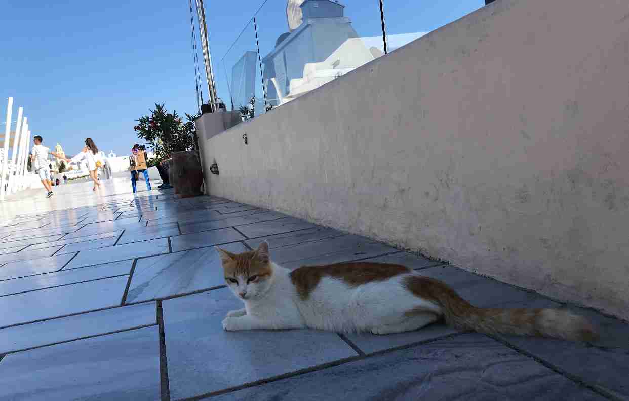 コロナ禍だし、過去に行った旅行の写真でも見せ合いませんか