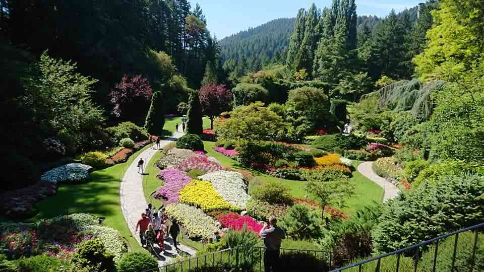 コロナ禍だし、過去に行った旅行の写真でも見せ合いませんか