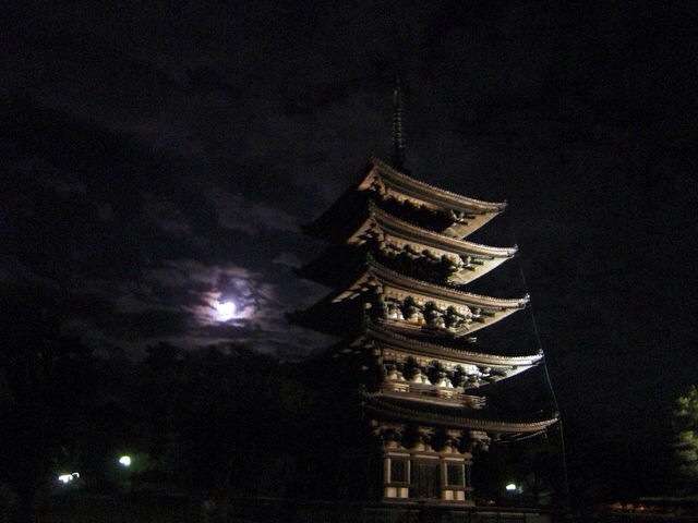 コロナ禍だし、過去に行った旅行の写真でも見せ合いませんか