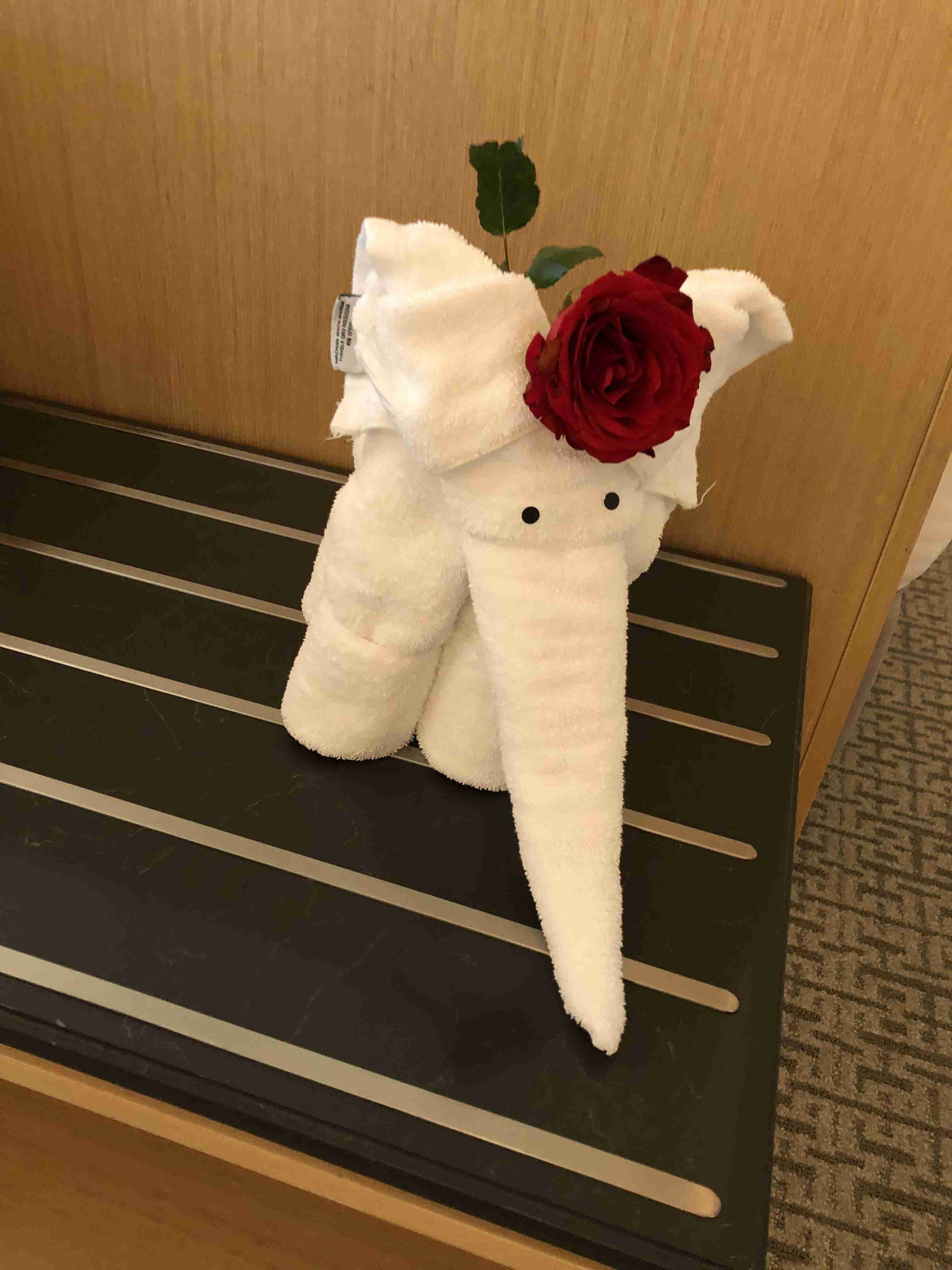 コロナ禍だし、過去に行った旅行の写真でも見せ合いませんか