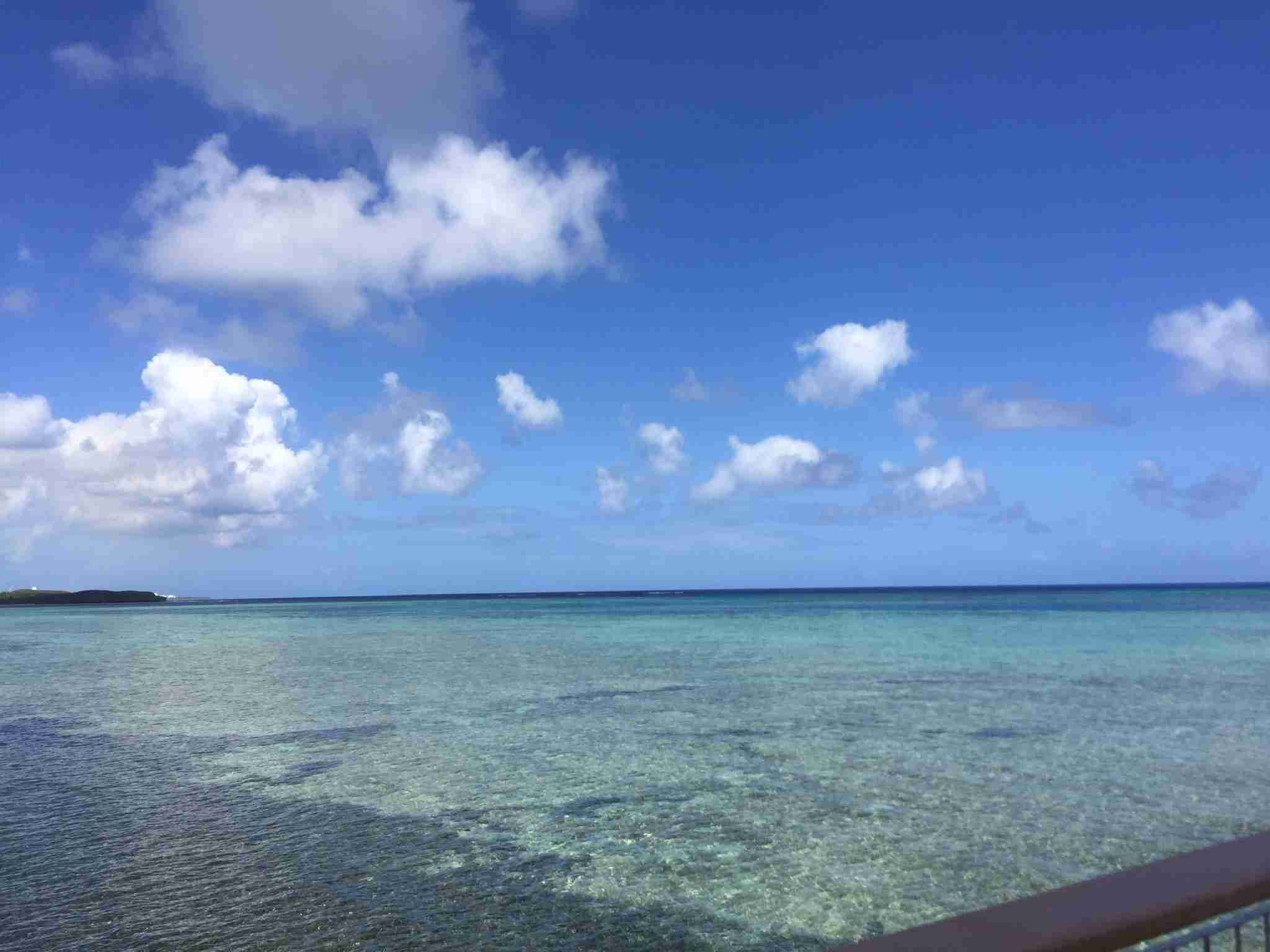 コロナ禍だし、過去に行った旅行の写真でも見せ合いませんか