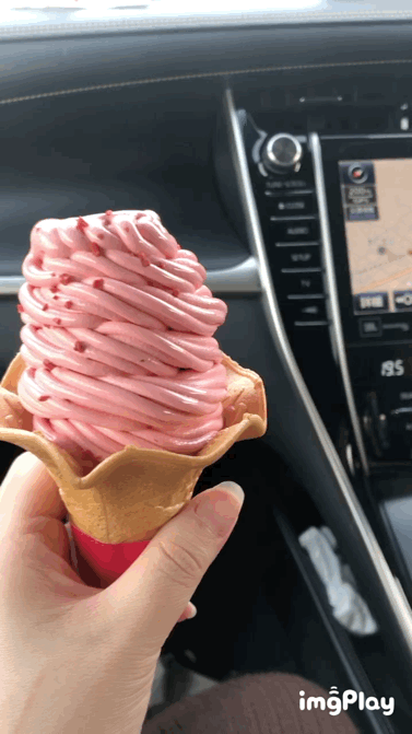 コロナ禍だし、過去に行った旅行の写真でも見せ合いませんか