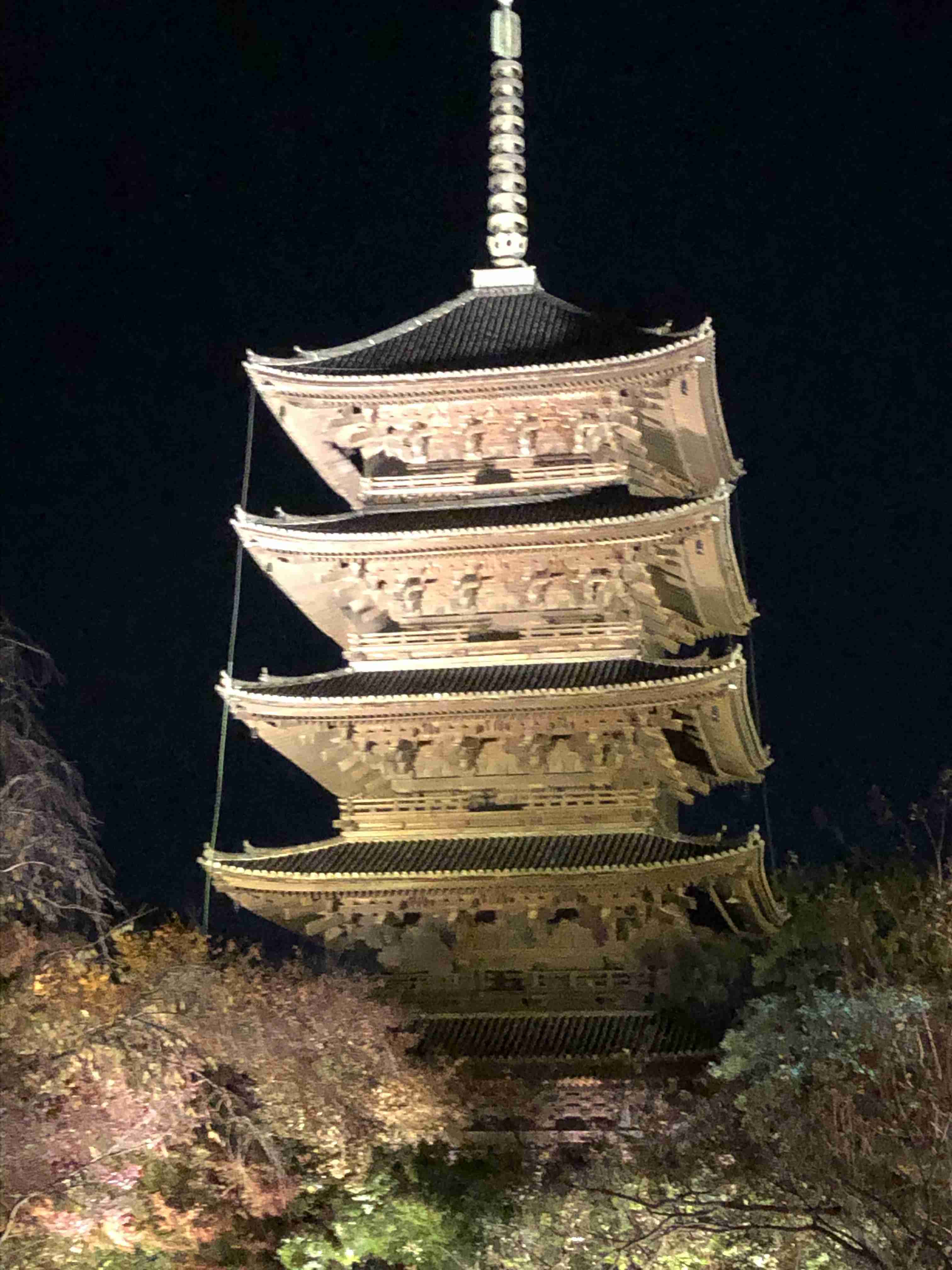 コロナ禍だし、過去に行った旅行の写真でも見せ合いませんか