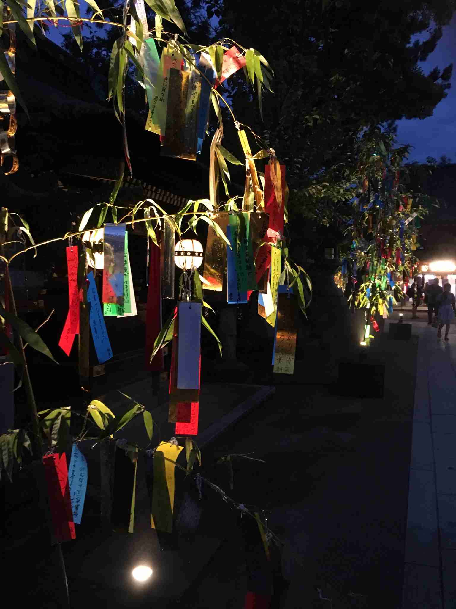 コロナ禍だし、過去に行った旅行の写真でも見せ合いませんか