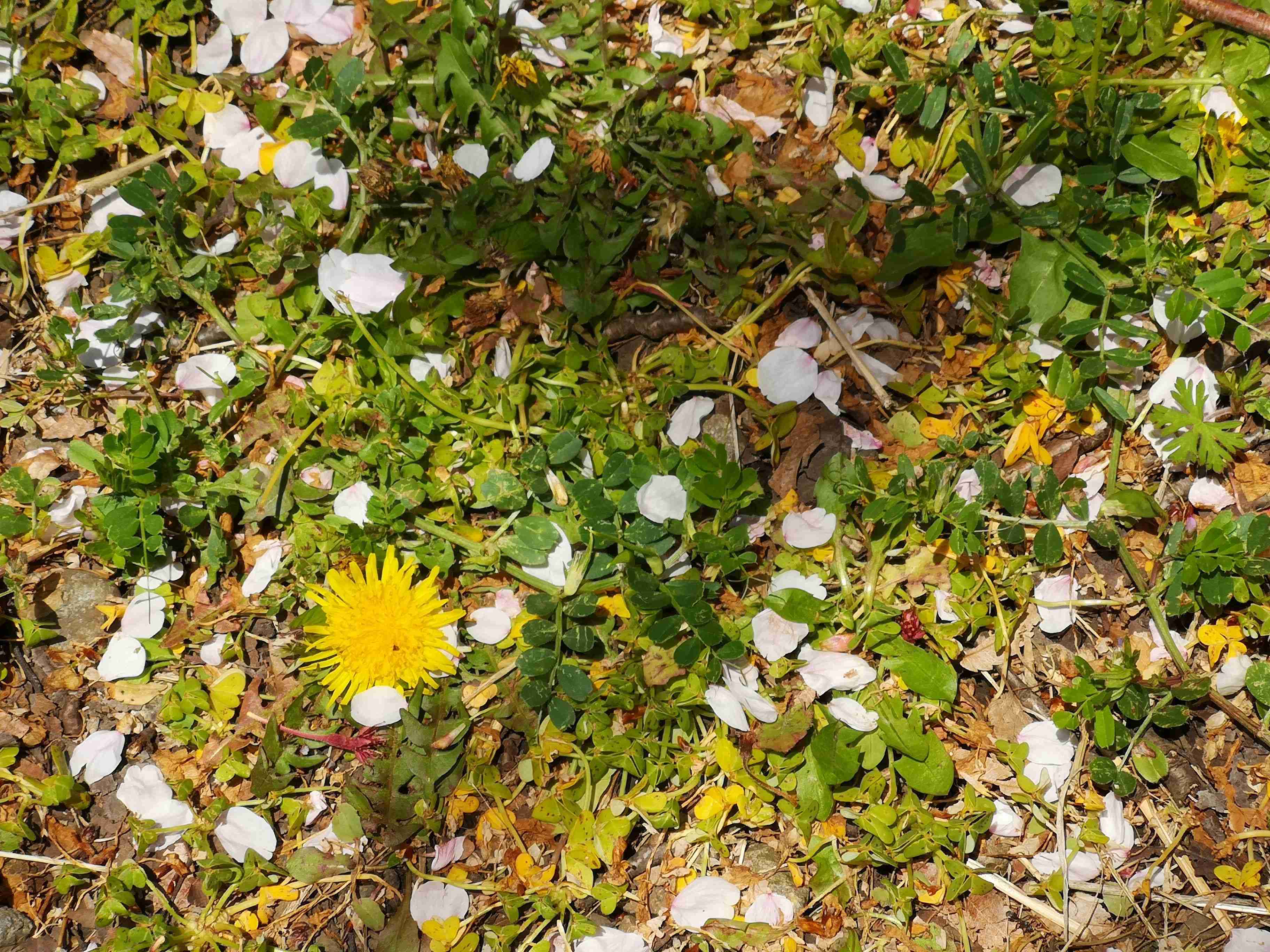 コロナ禍だし、過去に行った旅行の写真でも見せ合いませんか