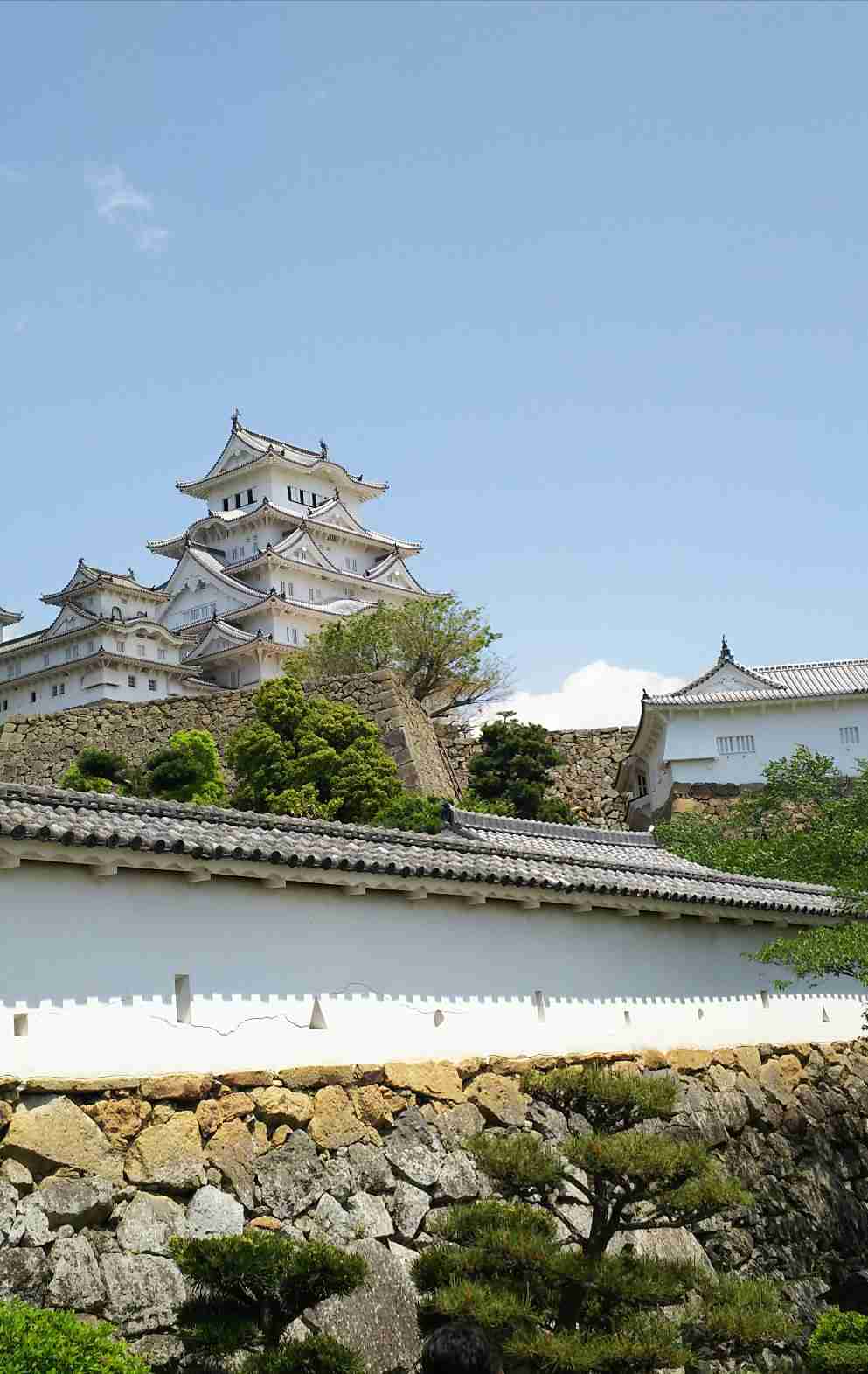 コロナ禍だし、過去に行った旅行の写真でも見せ合いませんか