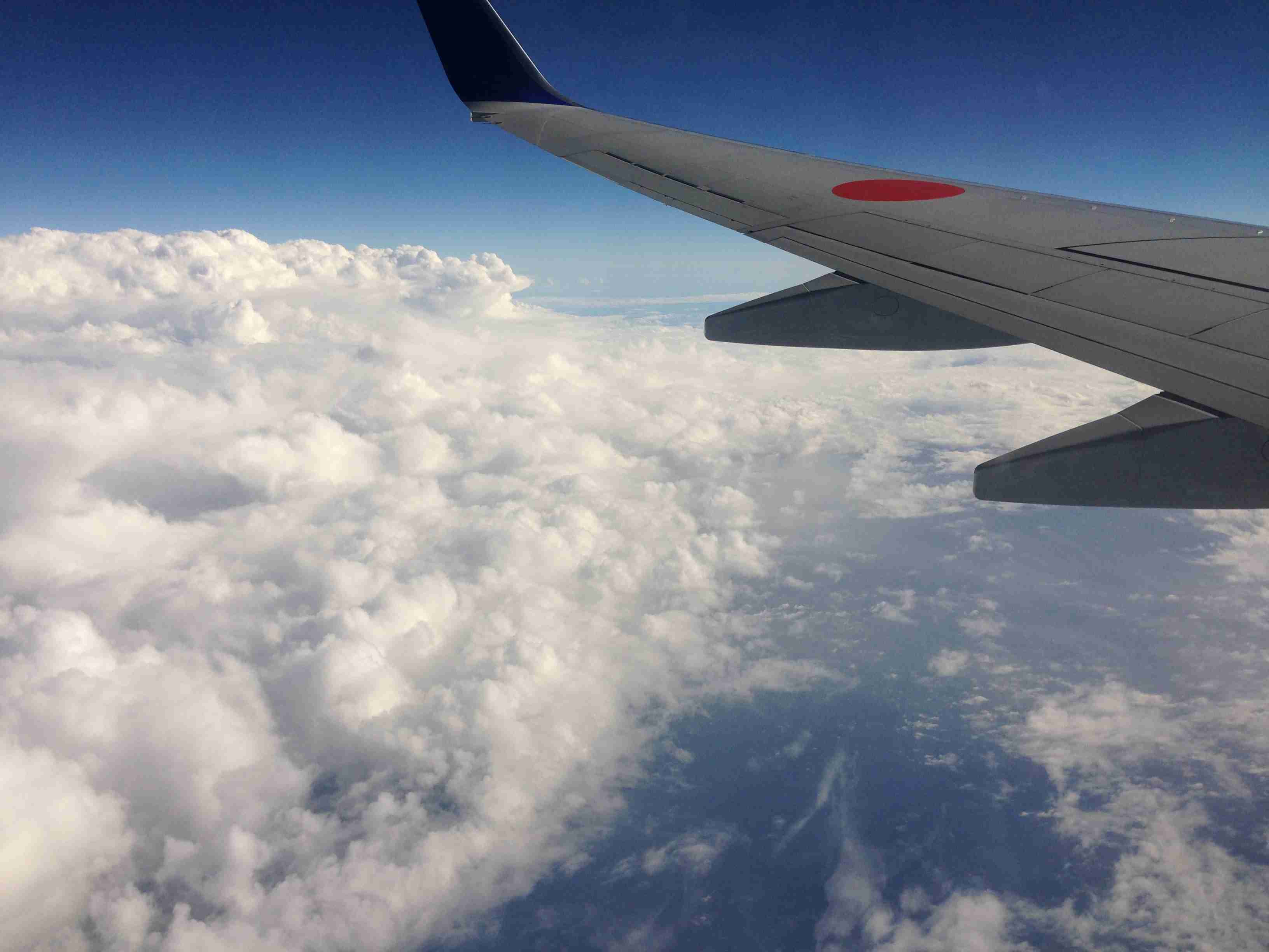 コロナ禍だし、過去に行った旅行の写真でも見せ合いませんか