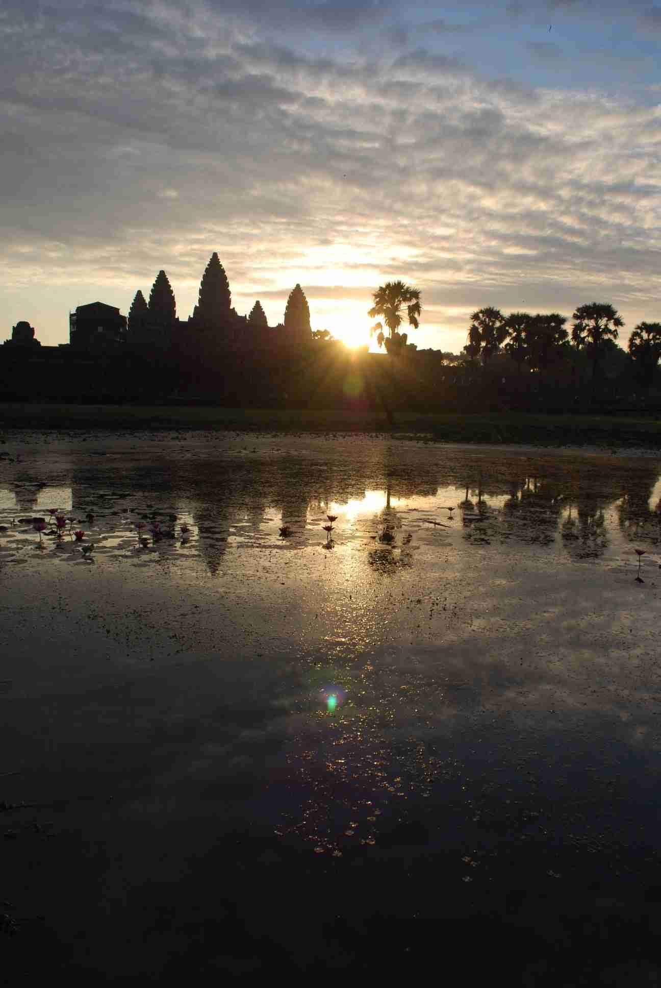 コロナ禍だし、過去に行った旅行の写真でも見せ合いませんか