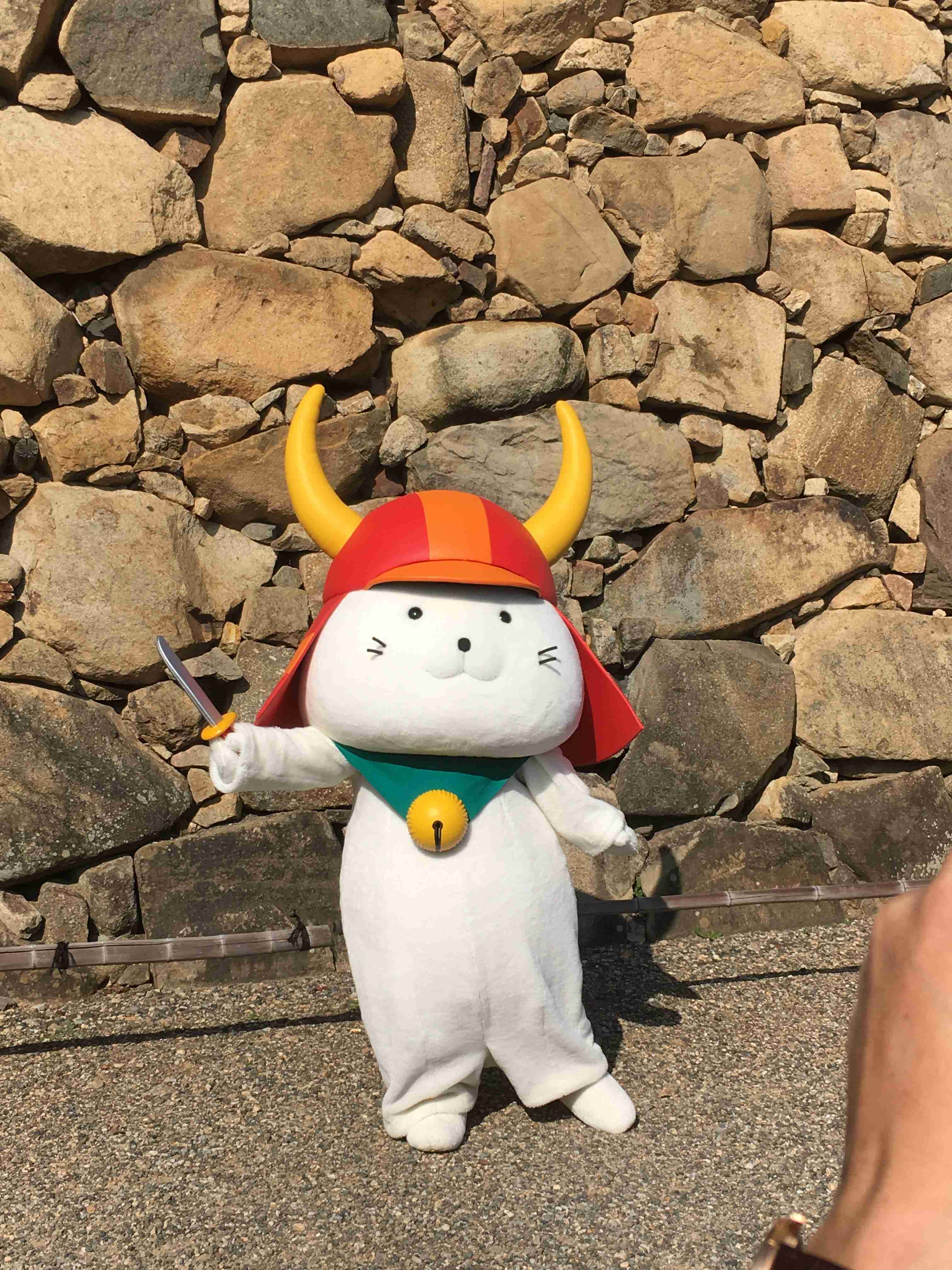 コロナ禍だし、過去に行った旅行の写真でも見せ合いませんか