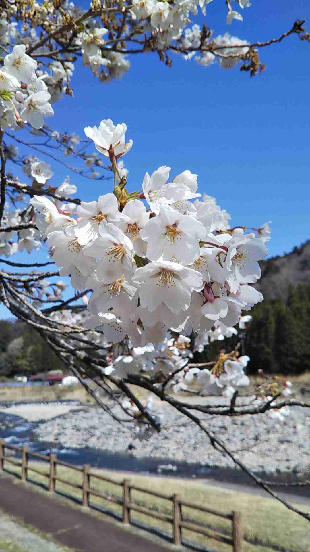 コロナ禍だし、過去に行った旅行の写真でも見せ合いませんか