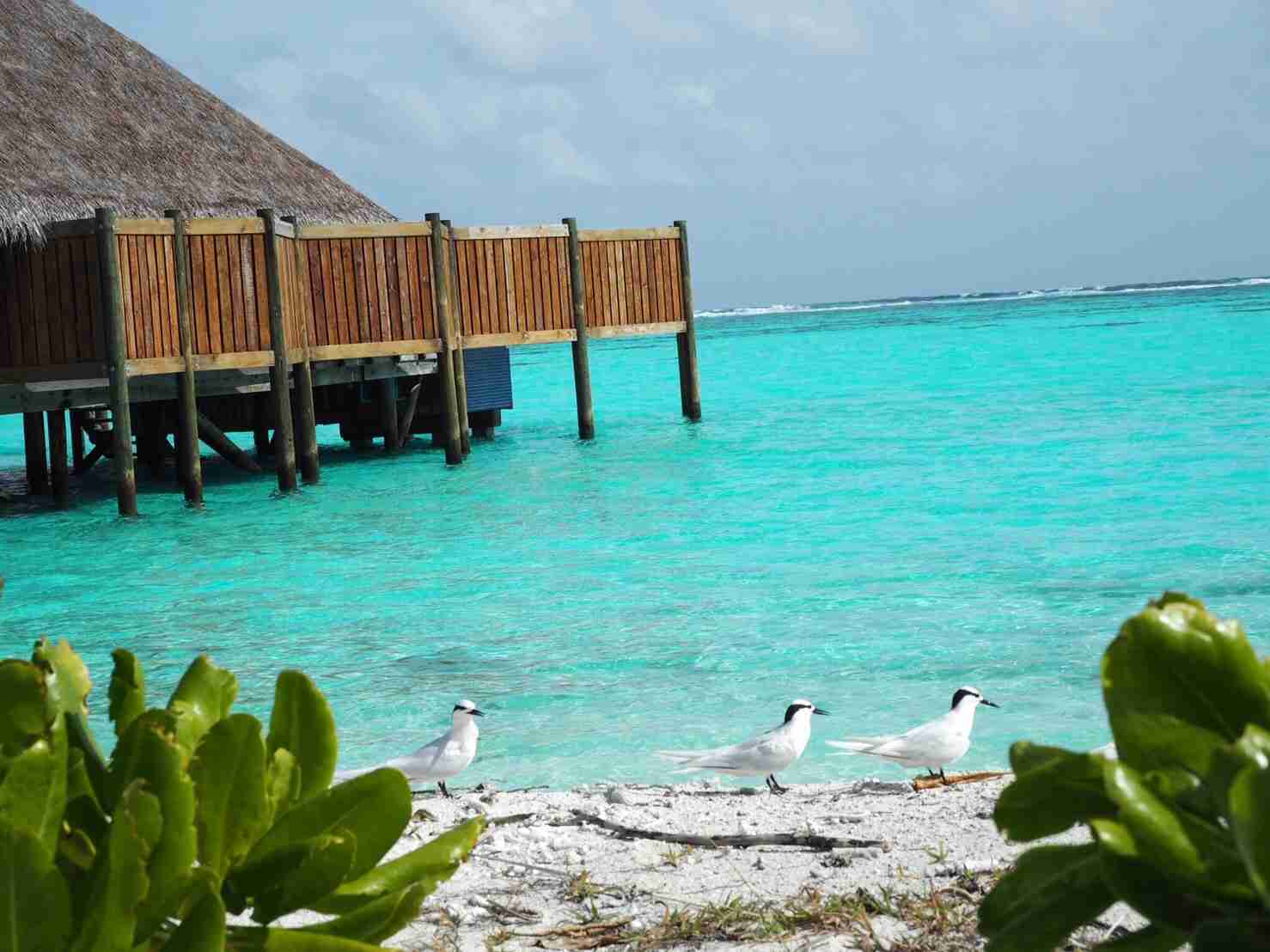 コロナ禍だし、過去に行った旅行の写真でも見せ合いませんか