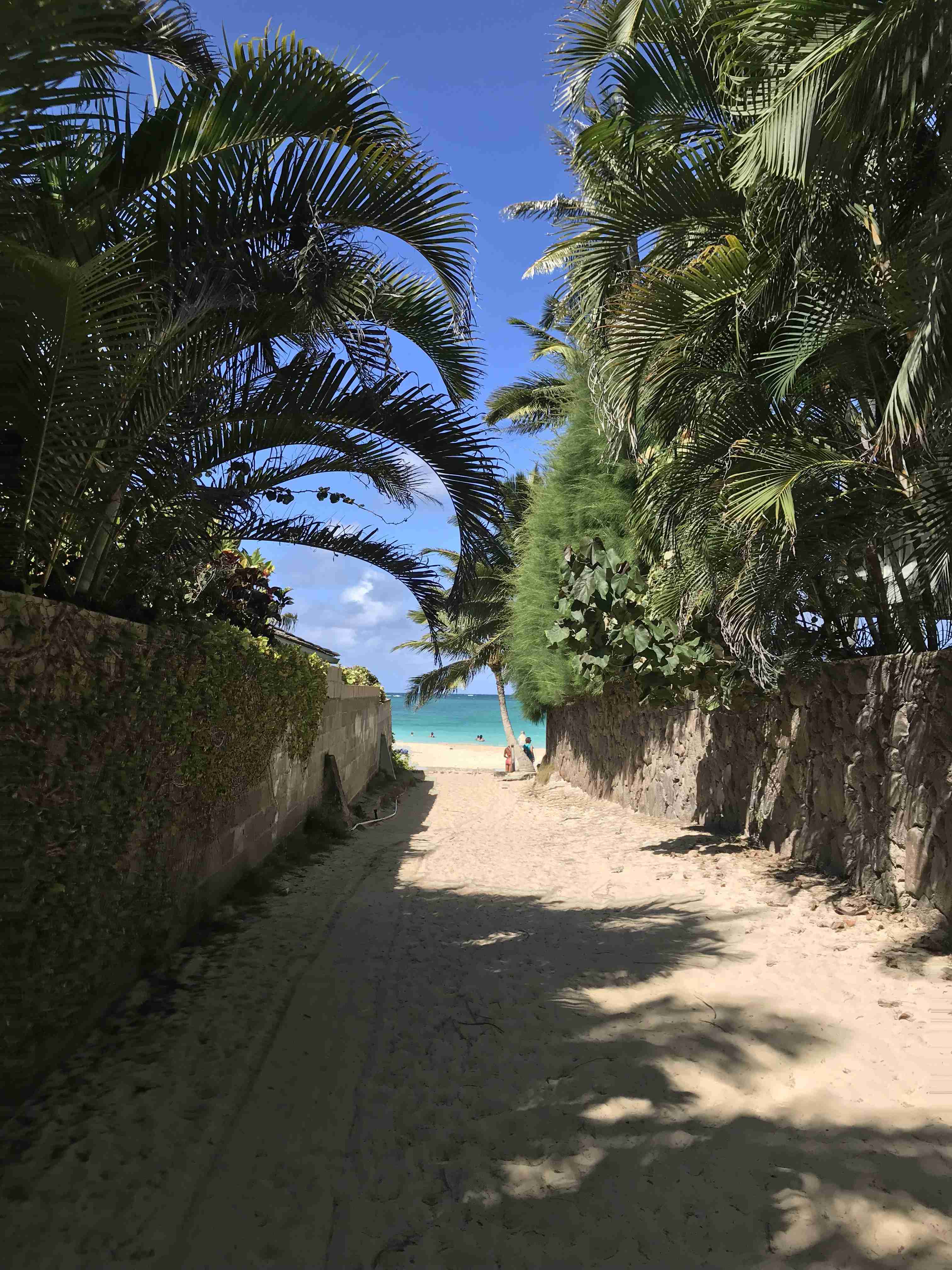 コロナ禍だし、過去に行った旅行の写真でも見せ合いませんか