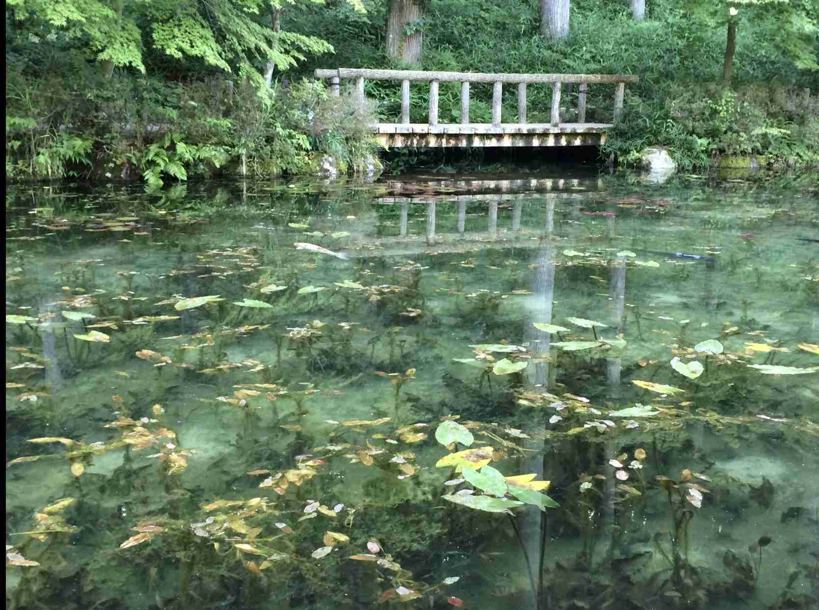 コロナ禍だし、過去に行った旅行の写真でも見せ合いませんか