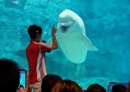 コロナ禍だし、過去に行った旅行の写真でも見せ合いませんか