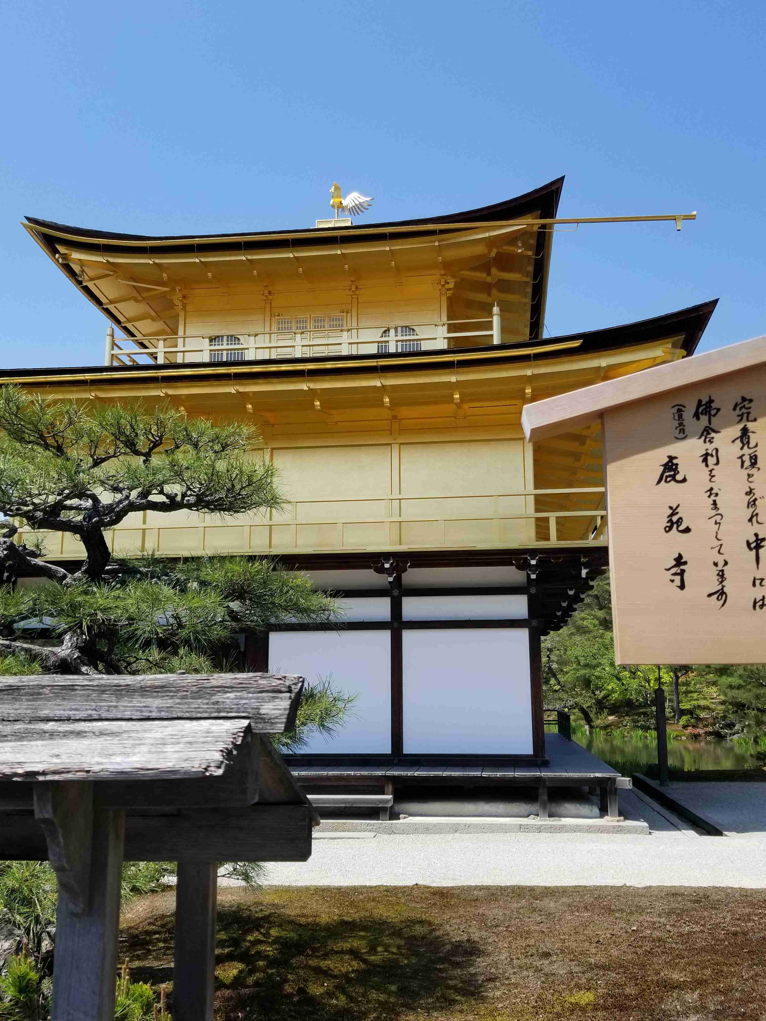 コロナ禍だし、過去に行った旅行の写真でも見せ合いませんか