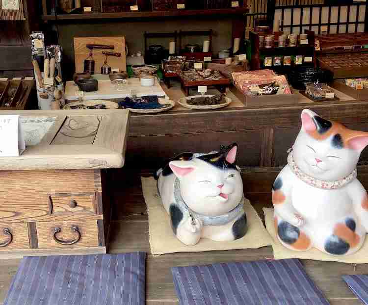 コロナ禍だし、過去に行った旅行の写真でも見せ合いませんか