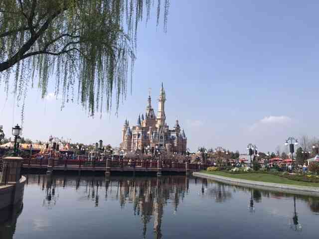 コロナ禍だし、過去に行った旅行の写真でも見せ合いませんか