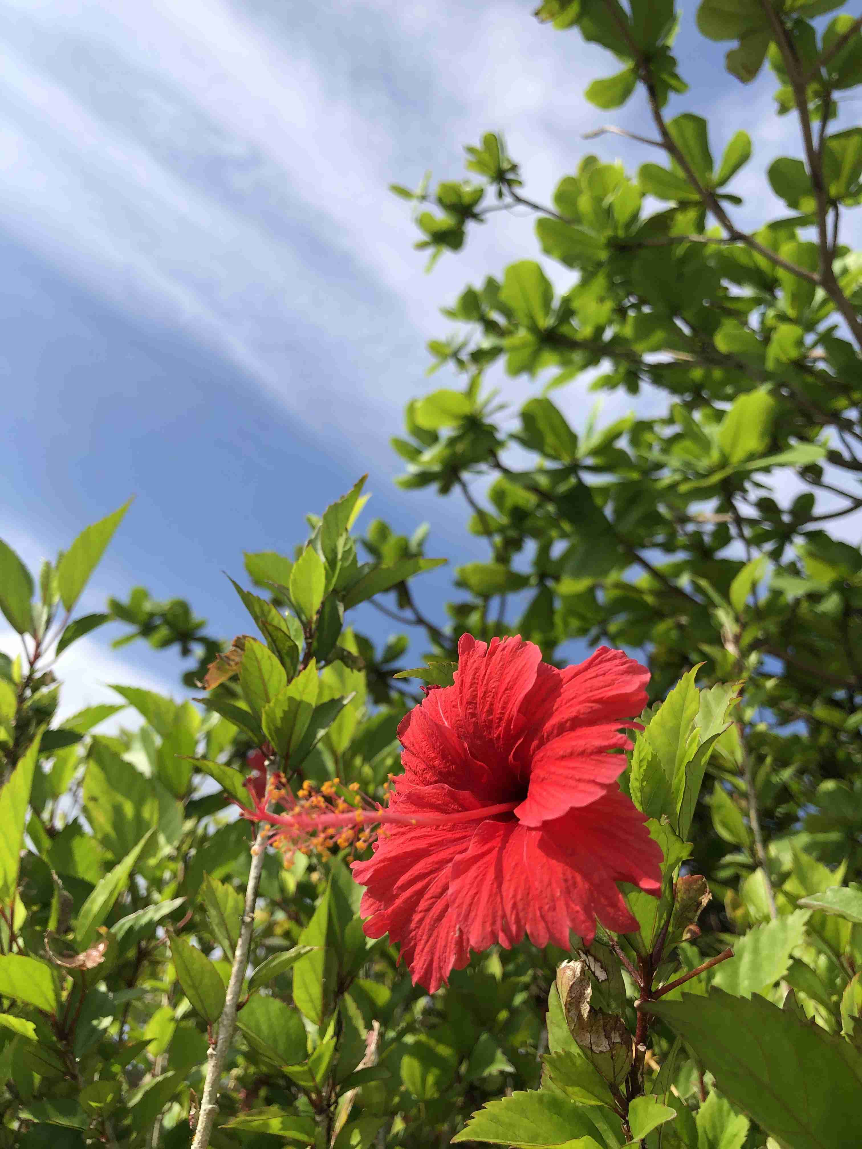 コロナ禍だし、過去に行った旅行の写真でも見せ合いませんか