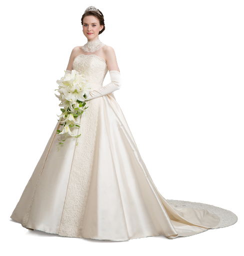 綺麗なウエディングドレスがみたい