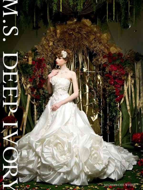 綺麗なウエディングドレスがみたい