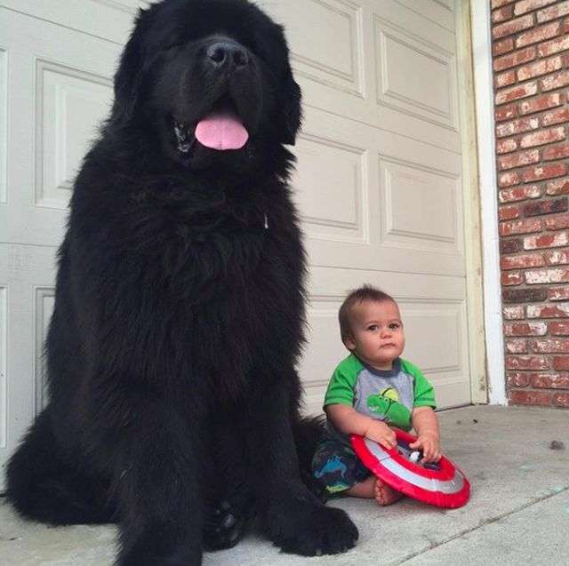 海外でしか見たことのないもの