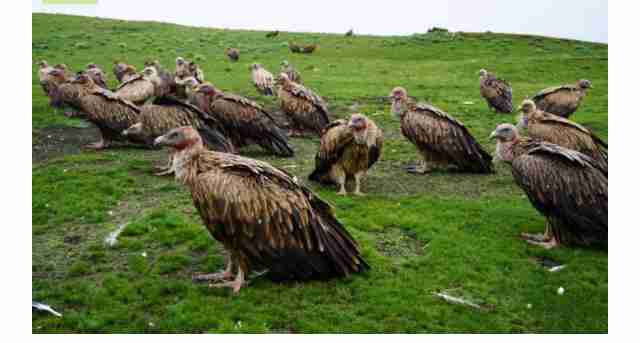 海外でしか見たことのないもの