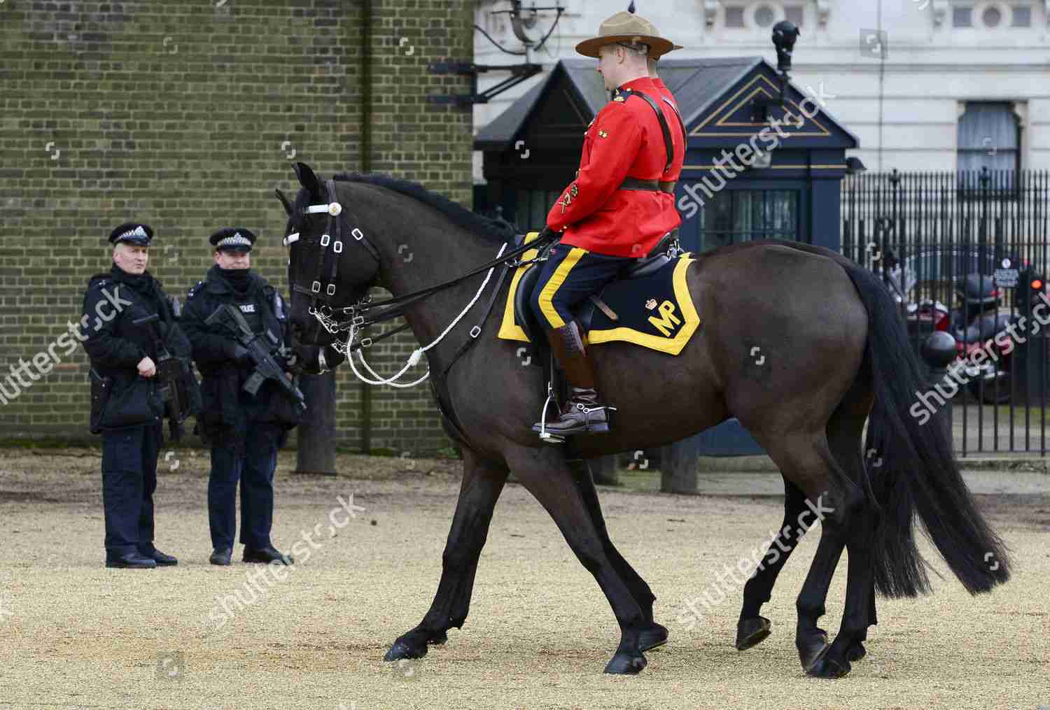 海外でしか見たことのないもの
