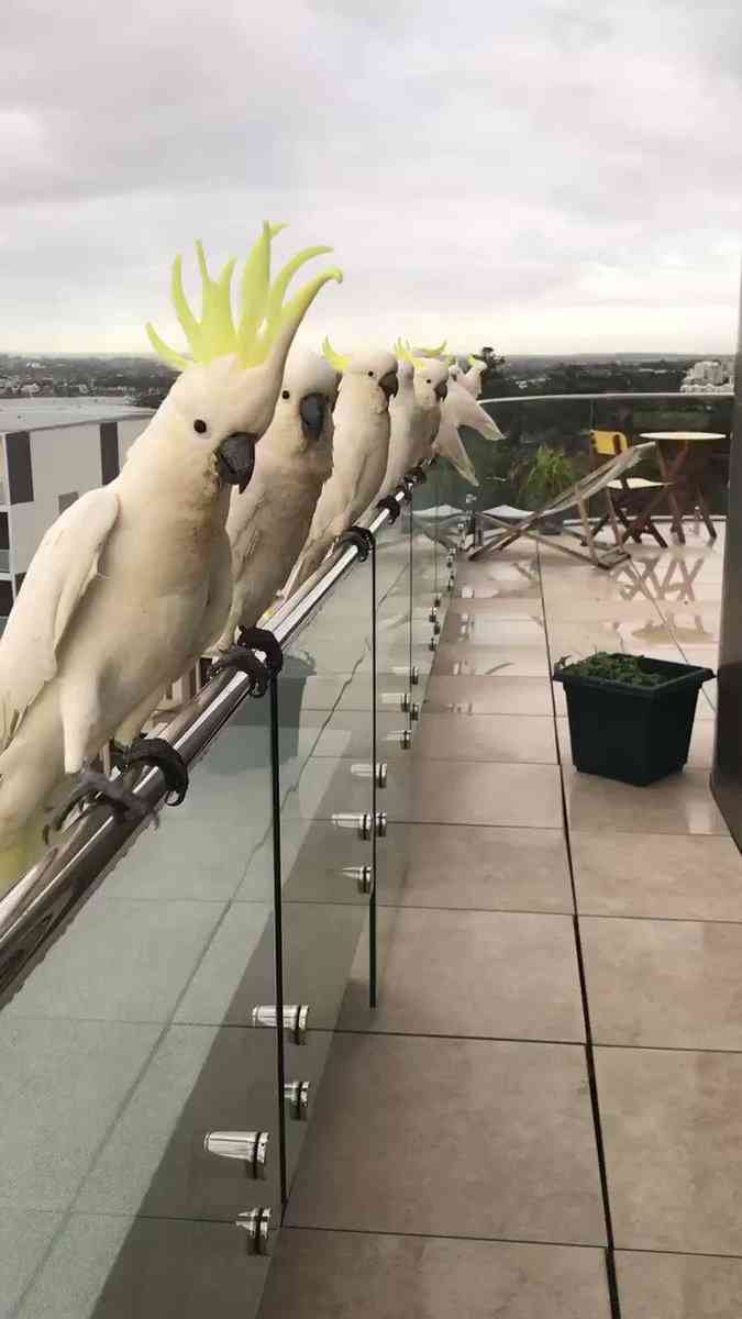 海外でしか見たことのないもの