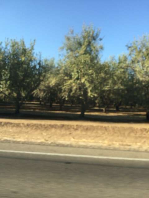 海外でしか見たことのないもの