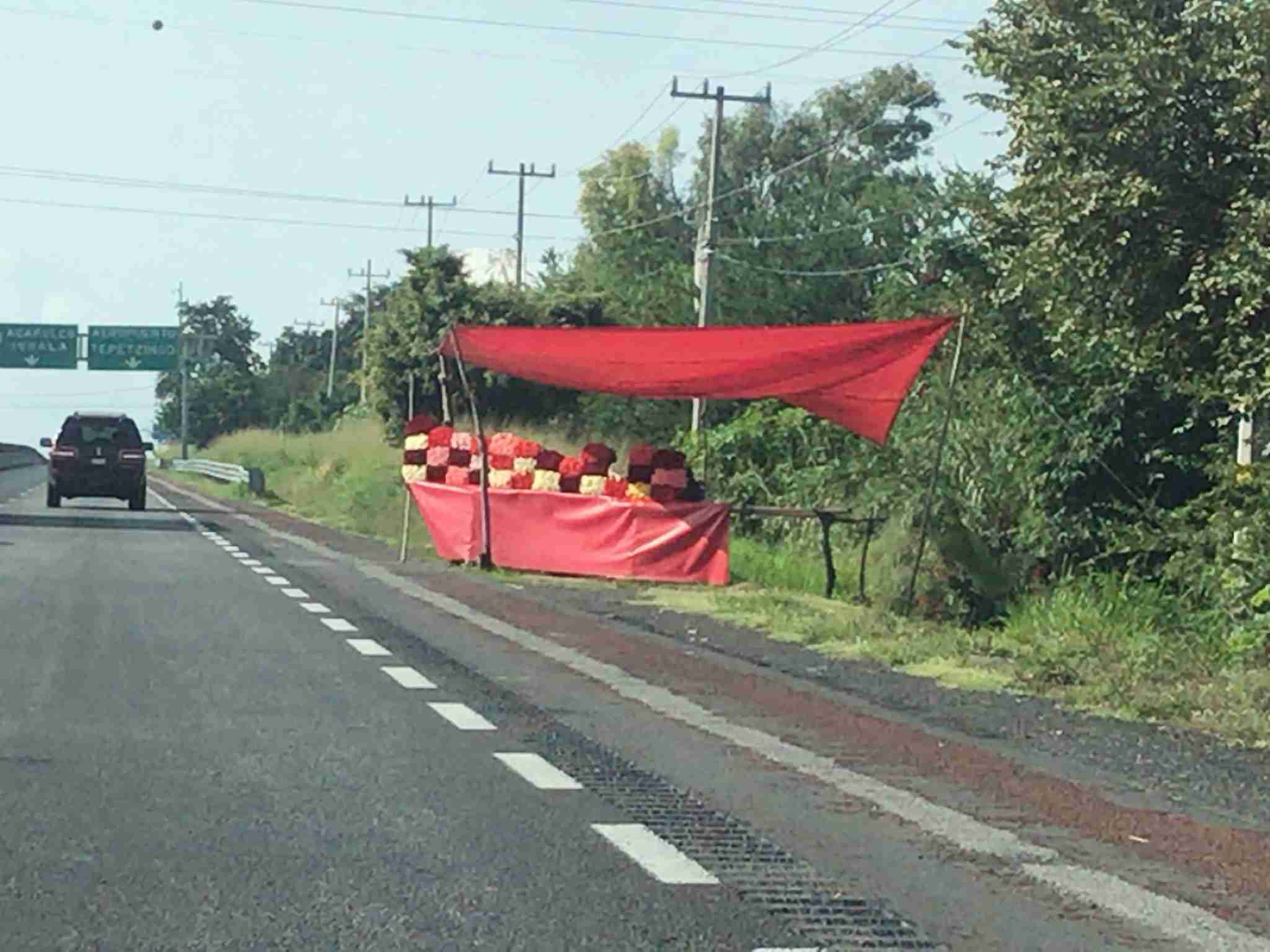 海外でしか見たことのないもの